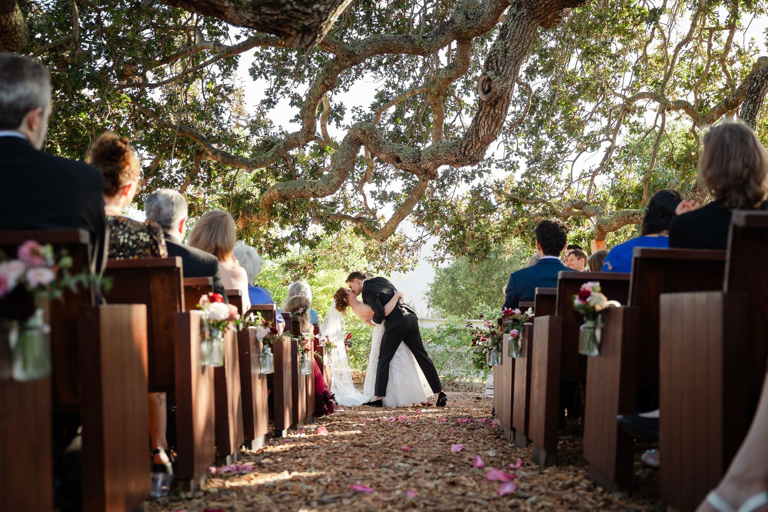 Bride and groom share a kiss at an outdoor wedding ceremony under a large oak tree with wooden pews.