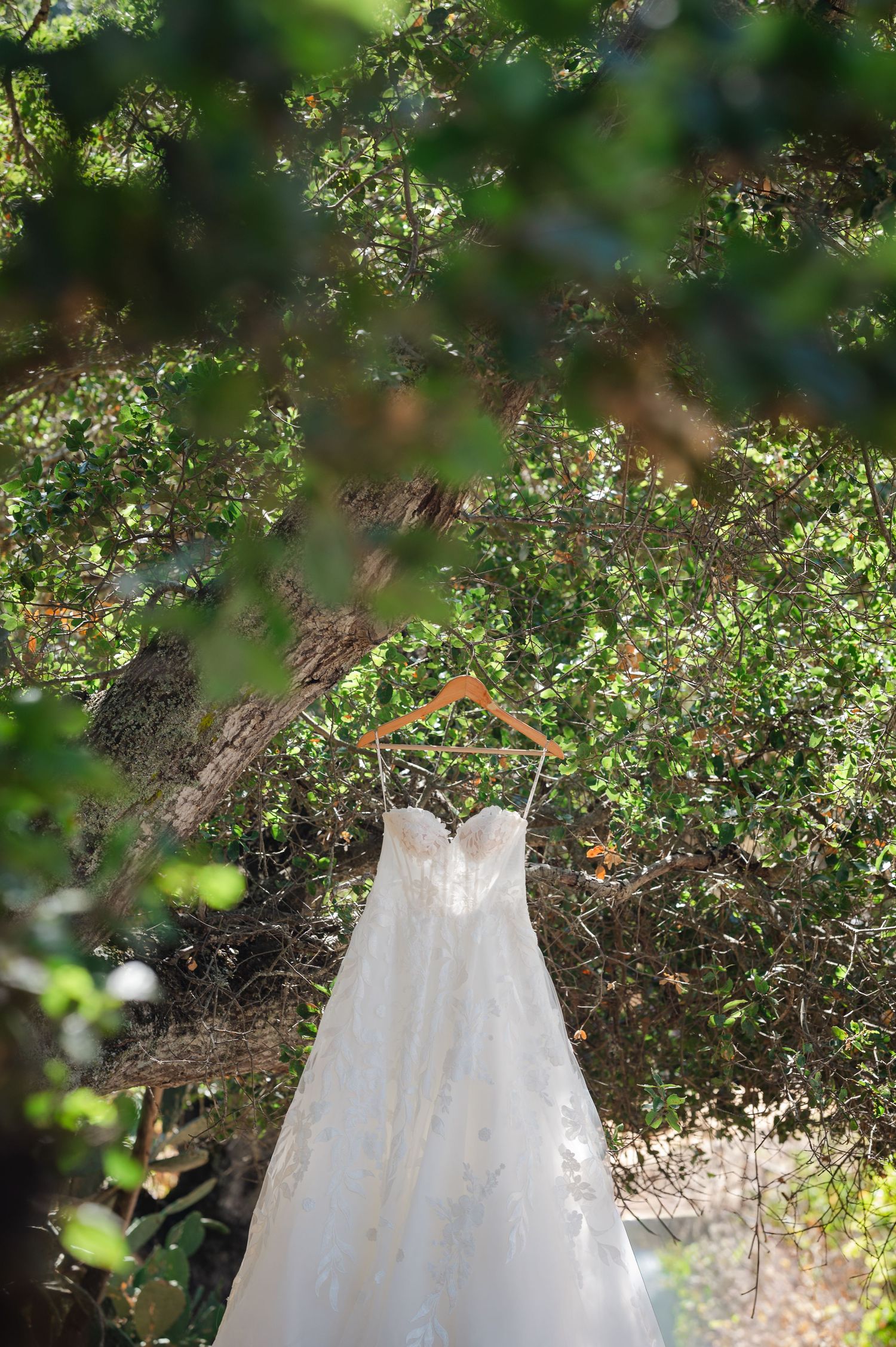 A flowing white wedding dress hangs elegantly among sunlit trees and greenery in an outdoor setting.