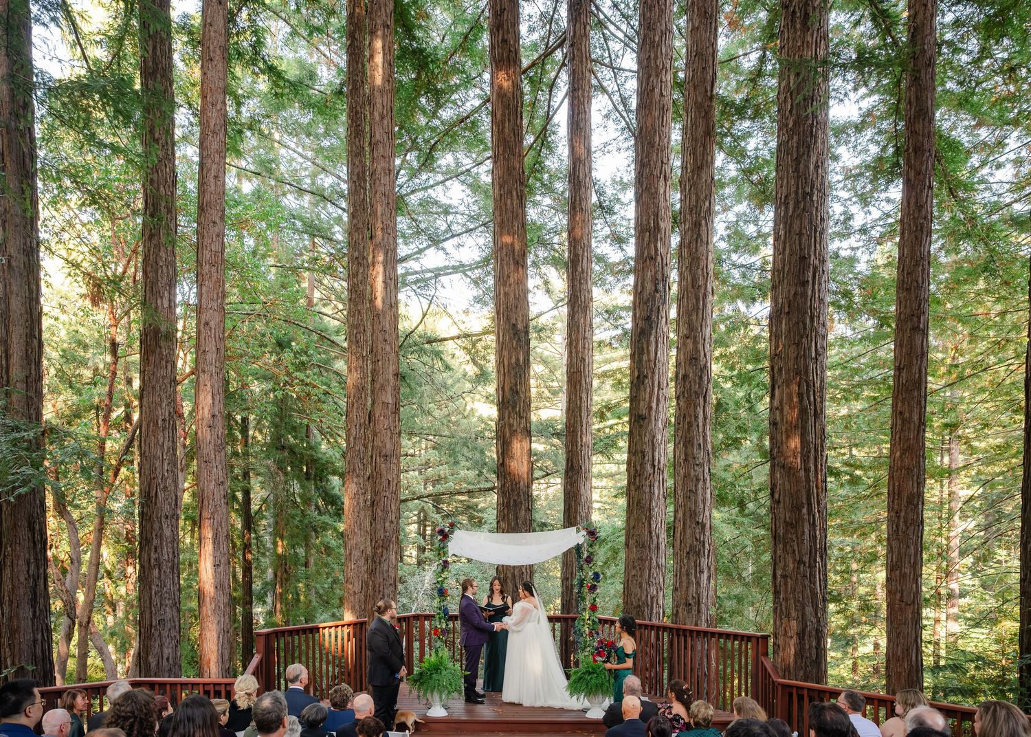 Outdoor wedding ceremony on a wooden deck surrounded by towering redwood trees in a forest setting.