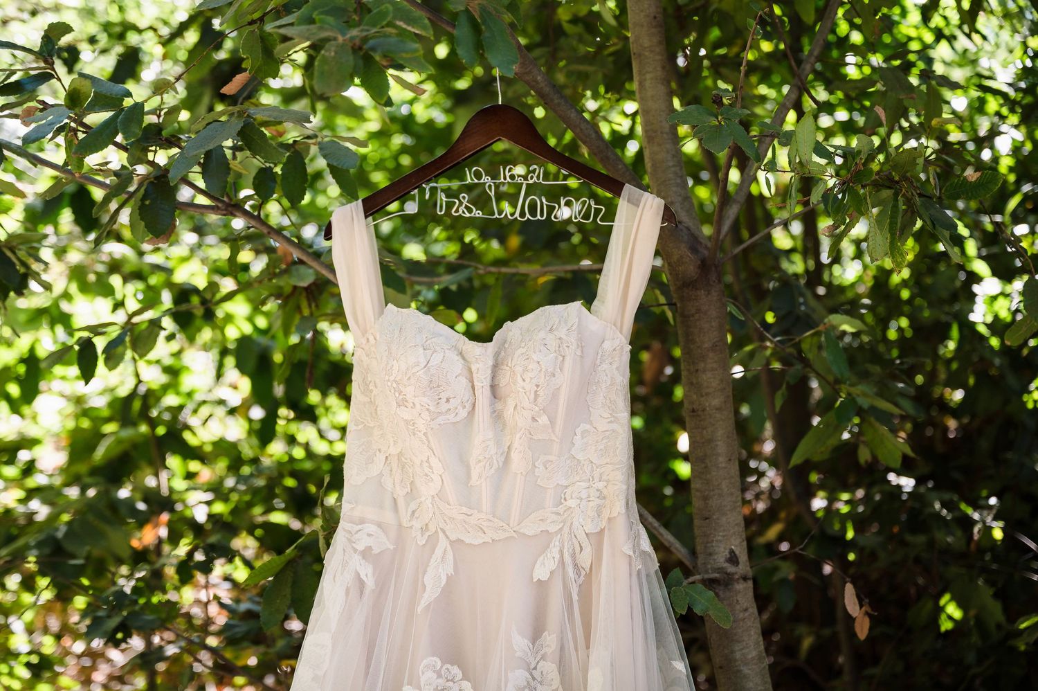A delicate white lace wedding dress hangs from a tree branch with dappled sunlight filtering through green leaves.