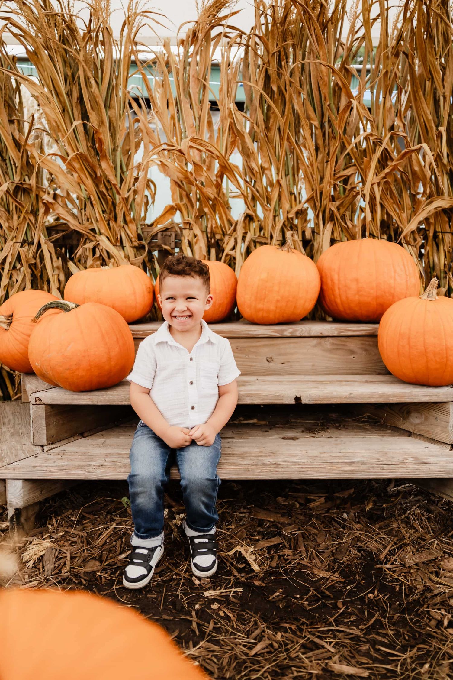 A young boy smiles sitting on wooden steps surrounded by orange pumpkins and dried corn stalks at a fall pumpkin patch.