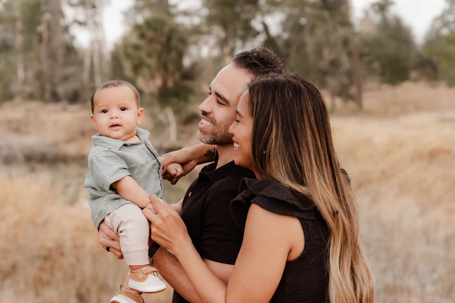A series of candid outdoor family portraits showing tender moments between parent and baby in a sunlit field.