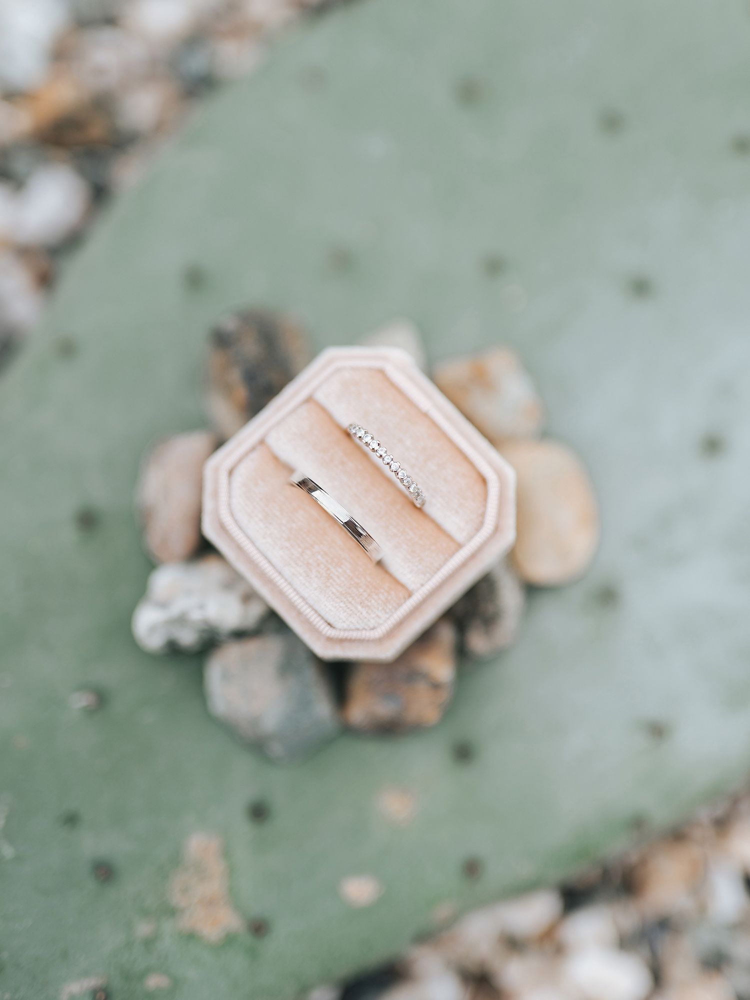 Two elegant silver wedding bands displayed in a blush velvet ring box on a cactus.