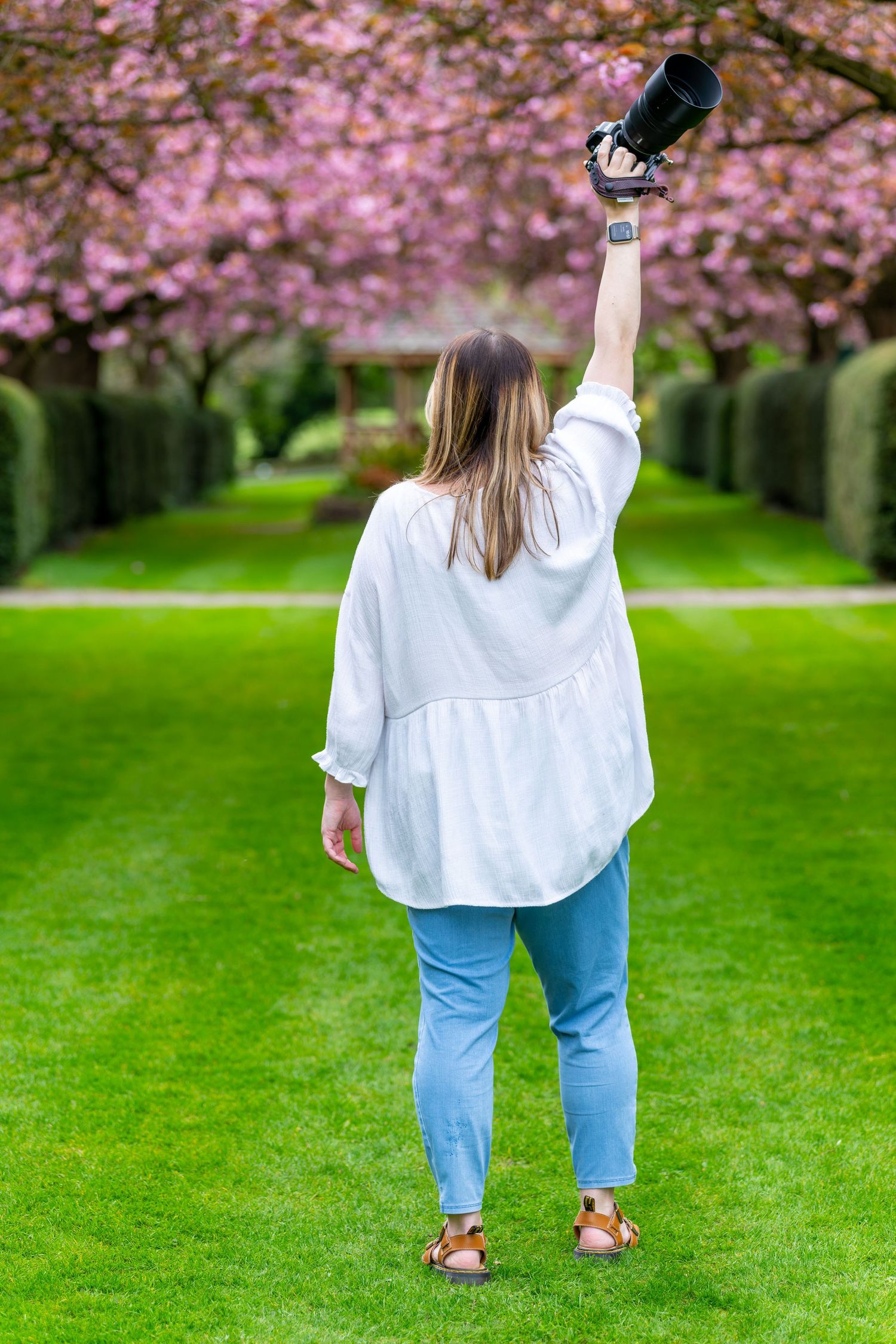 Woman in white blouse and jeans raising camera overhead in a garden lined with pink cherry blossom trees.
