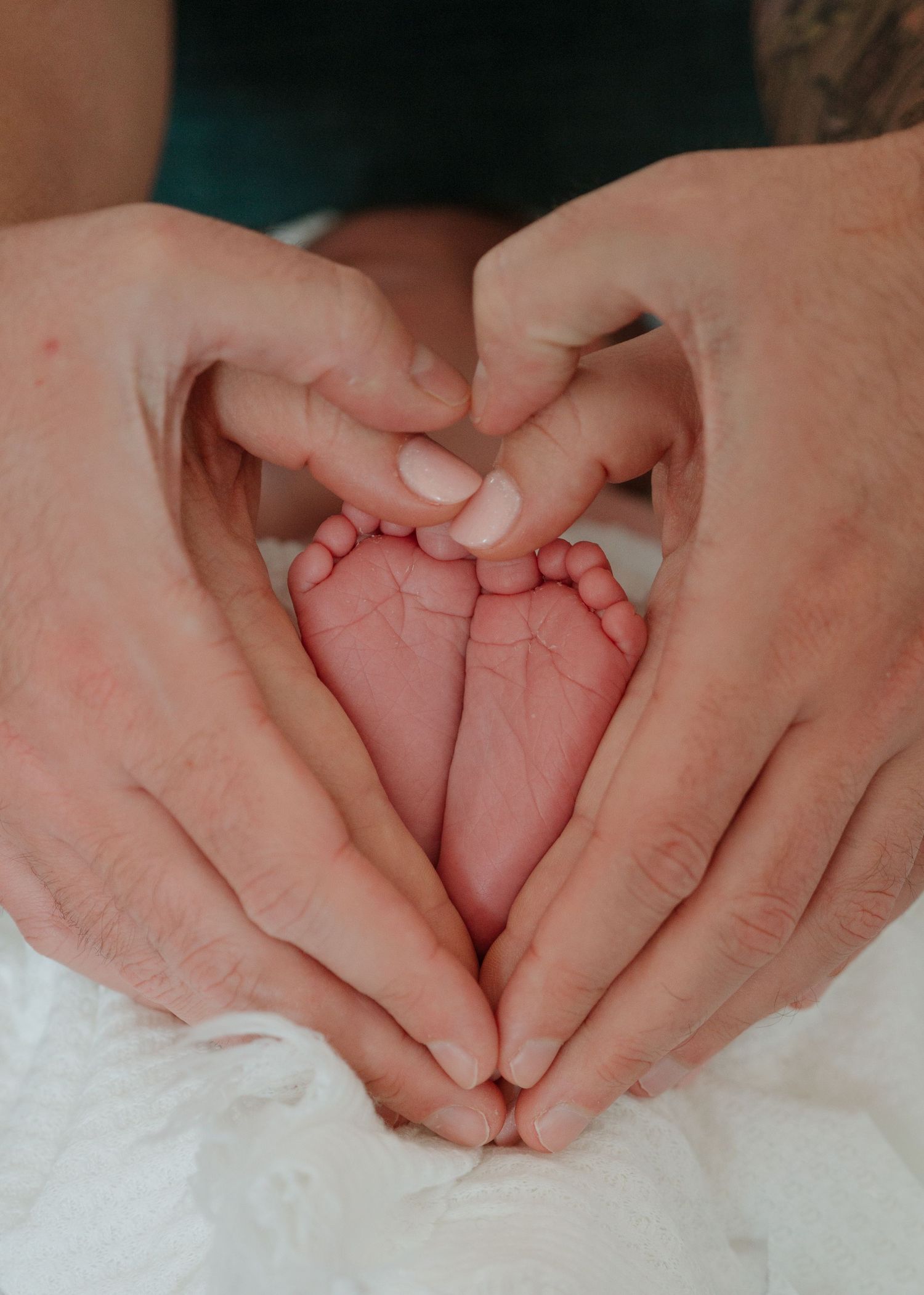 Newborn Photography - Adult hands gently cradle tiny newborn baby feet against a soft white blanket in a series of tender poses.