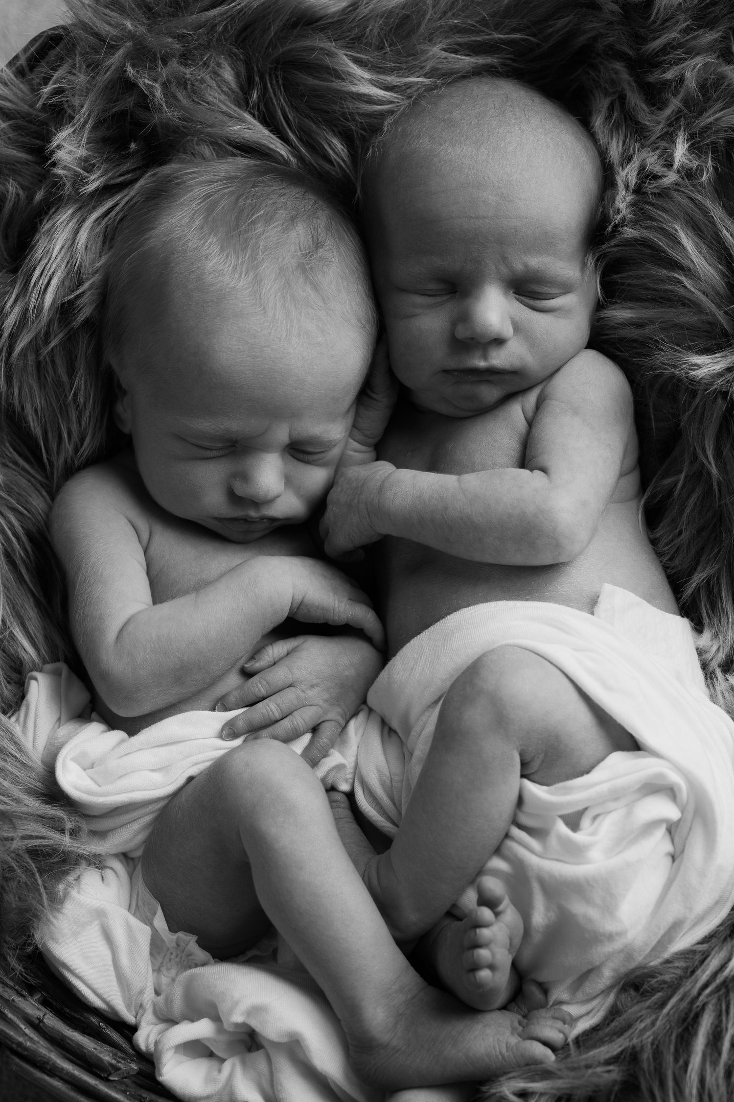 Two sleeping newborn twins cuddled together in a basket on fur, black and white photography.