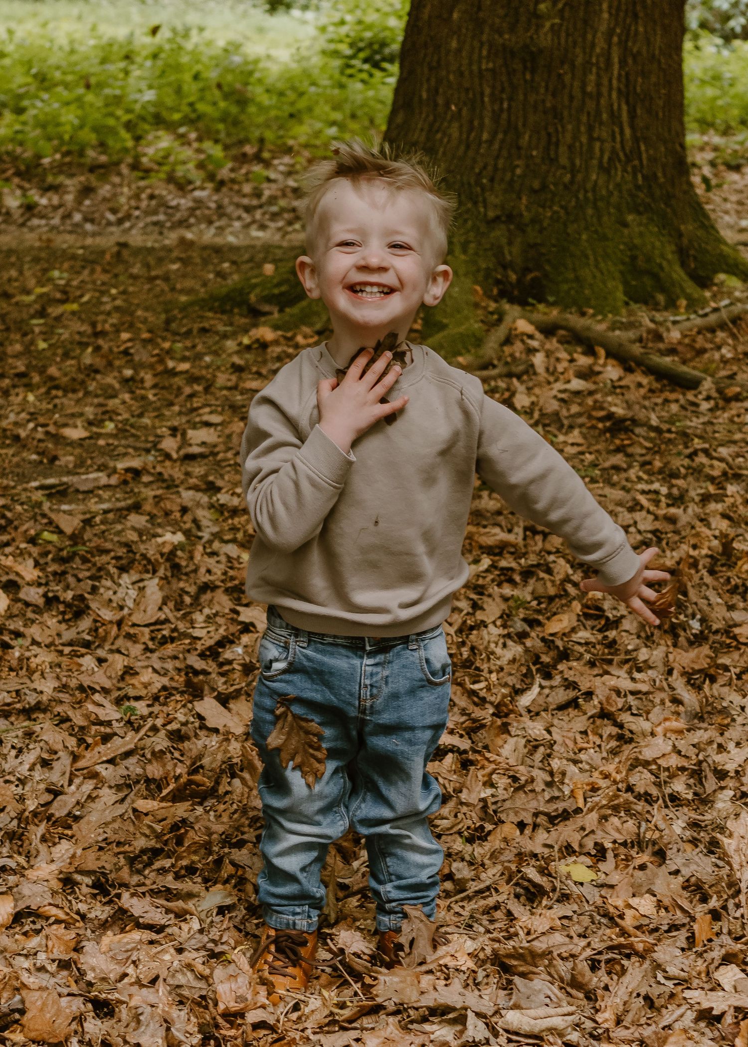 Wortley Hall - Child playing in fallen autumn leaves near a large tree trunk.