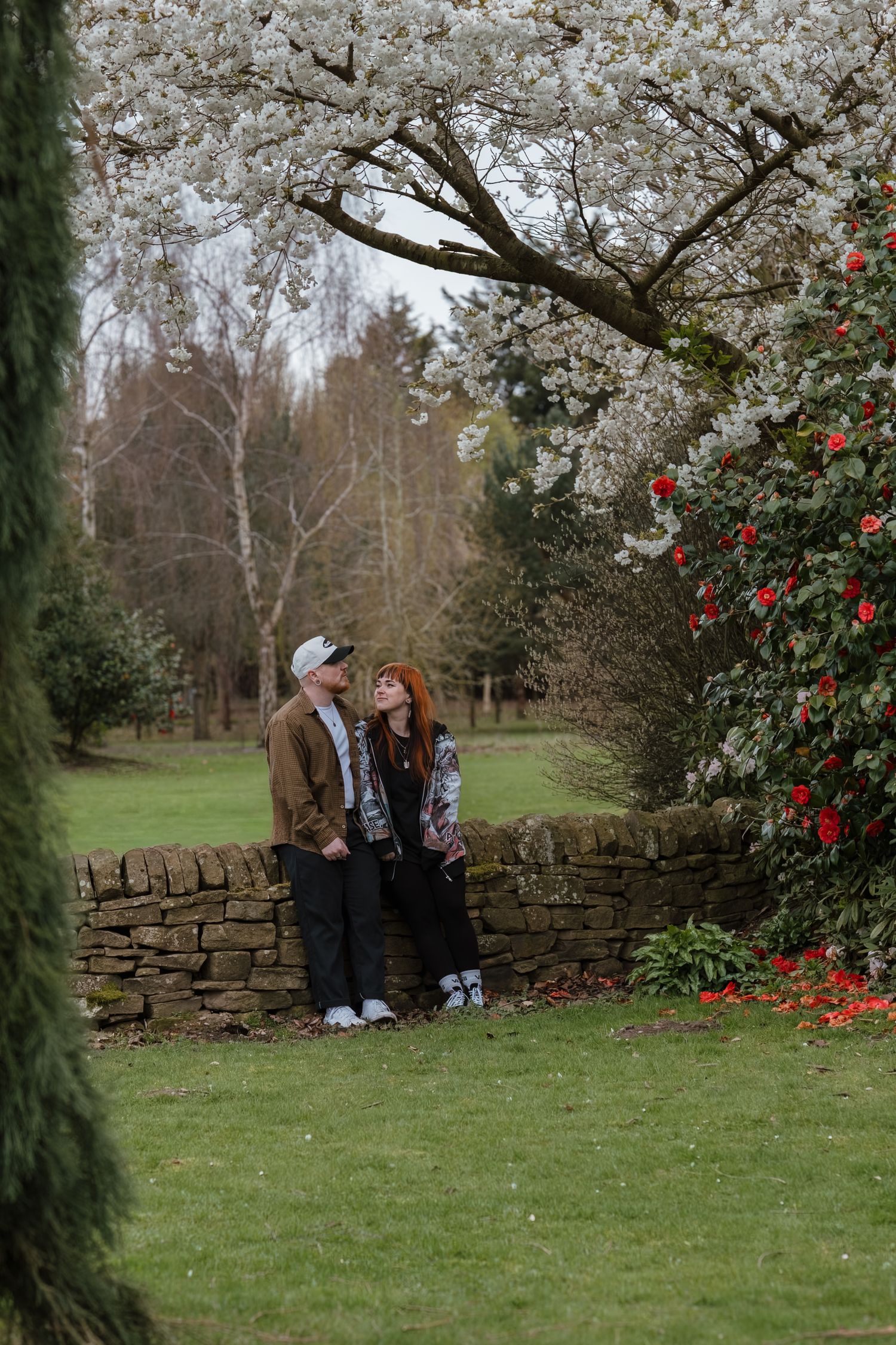 Couple sitting on stone wall gazing up at white cherry blossom tree in lush garden with red flowers.