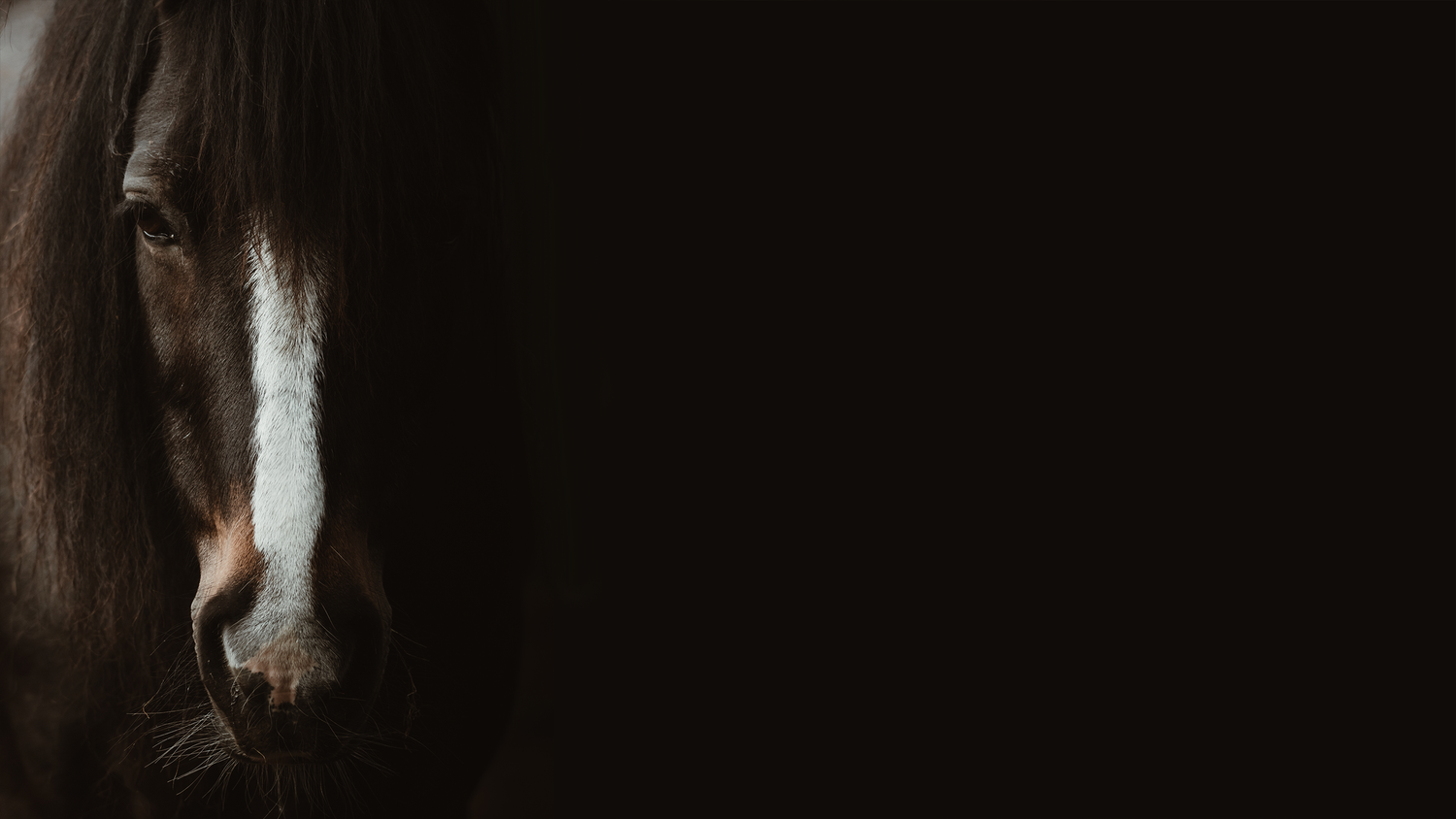 Close-up portrait of Jess emerging from dramatic black background.