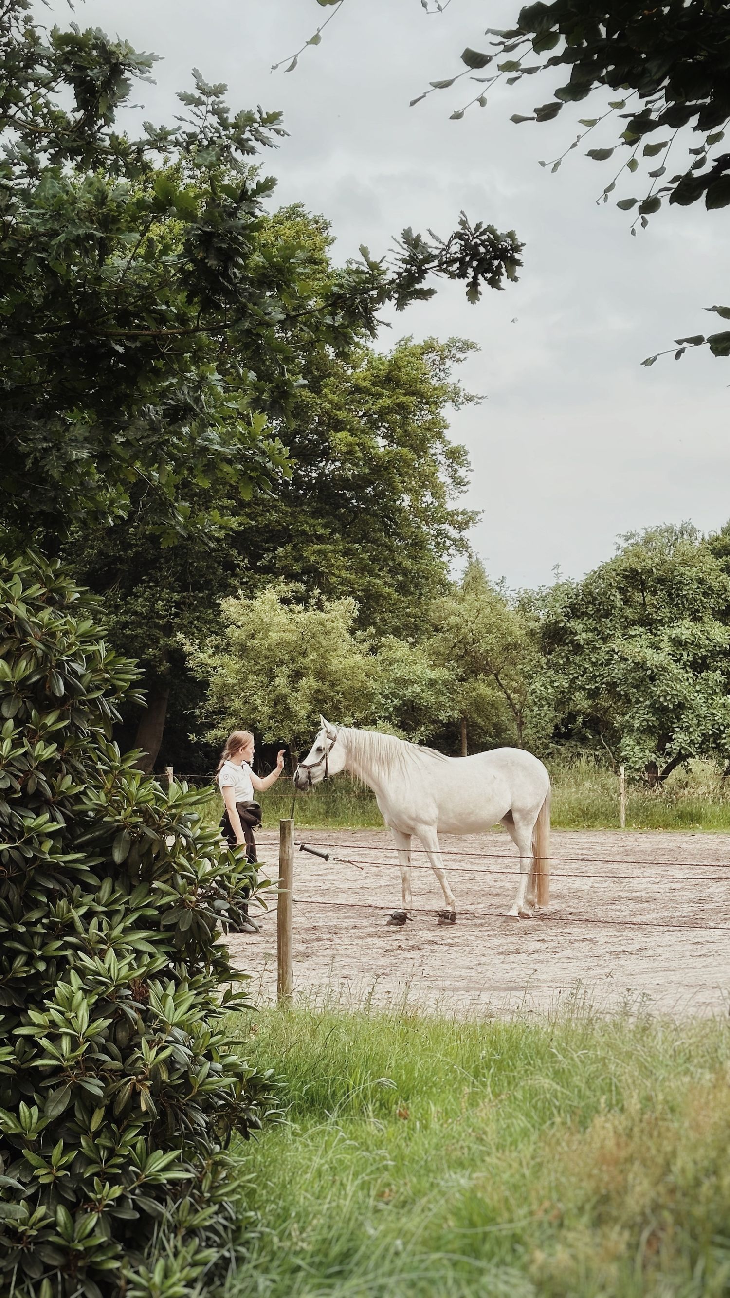 Vera standing besides Madra in a sandy paddock surrounded by lush green trees and shrubs.