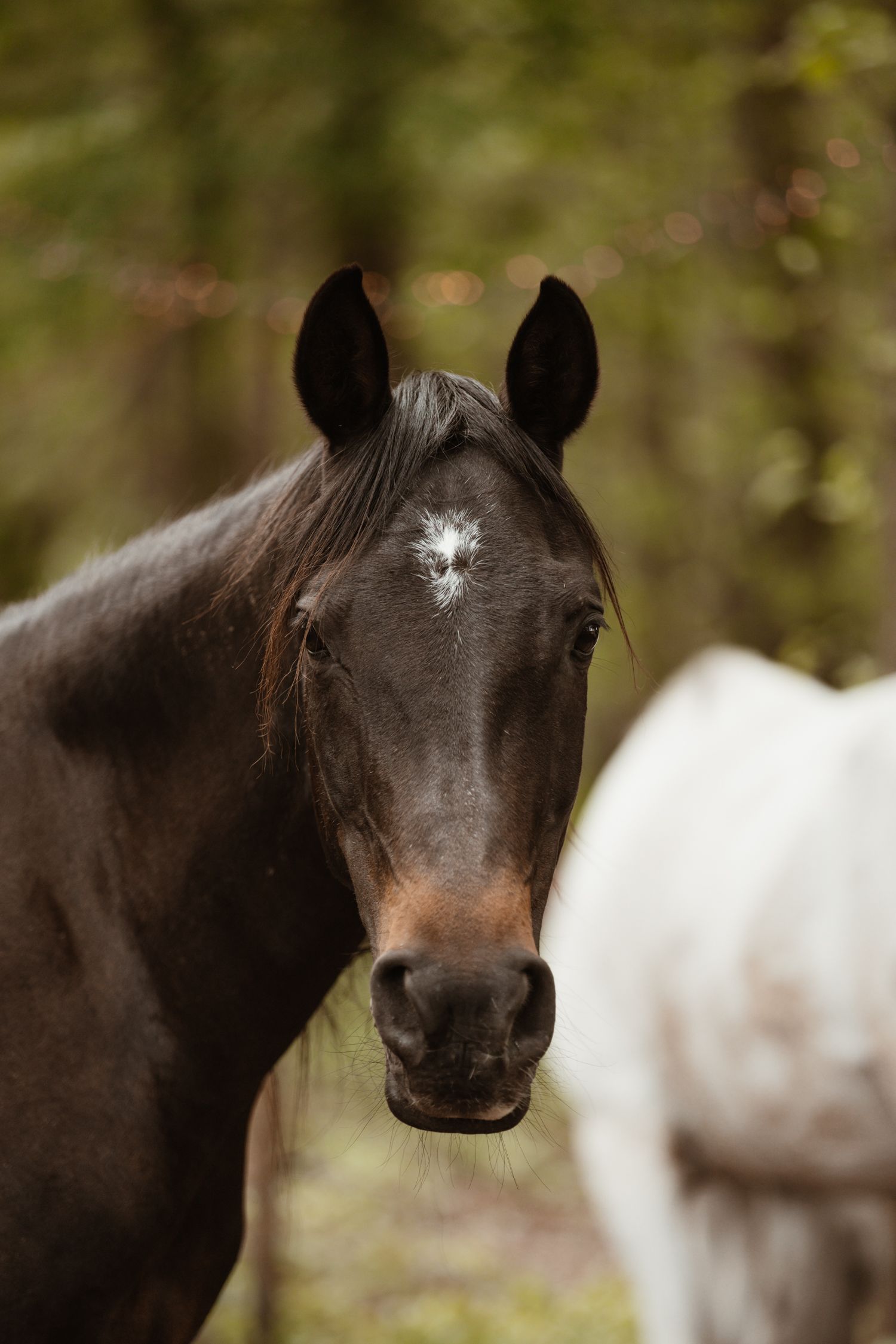 Close-up portrait of Sirah in the forest with Madra in the background.