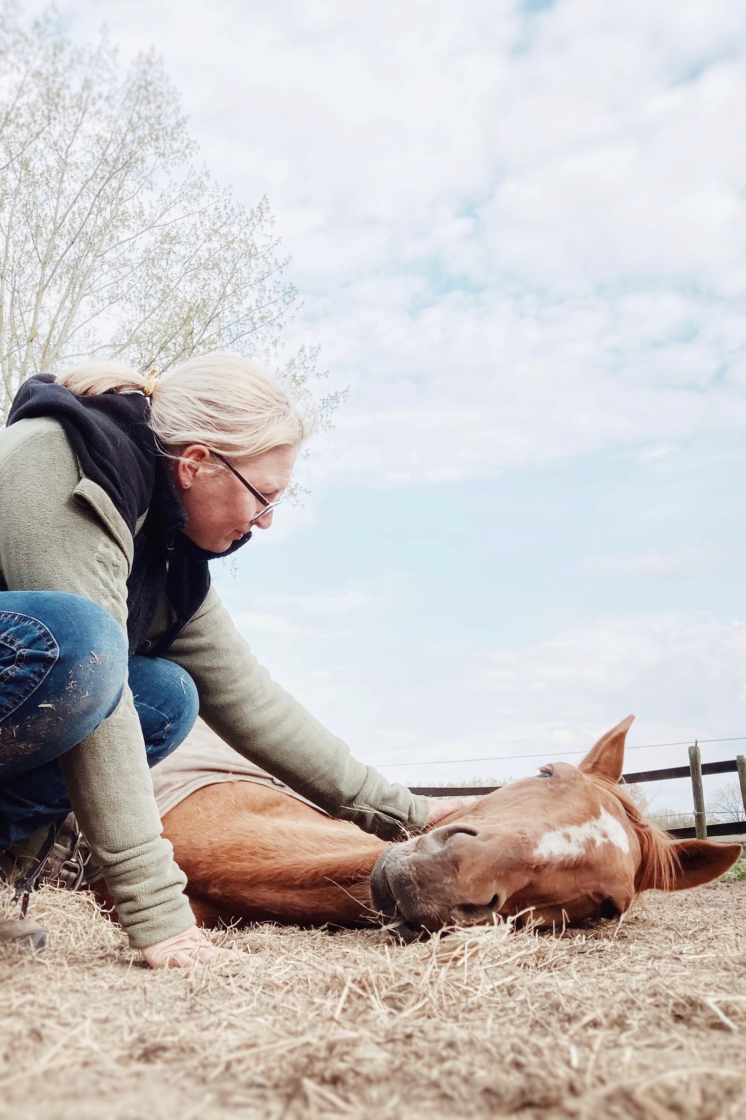 Marjolein gently petting a chestnut horse lying on straw in a field.