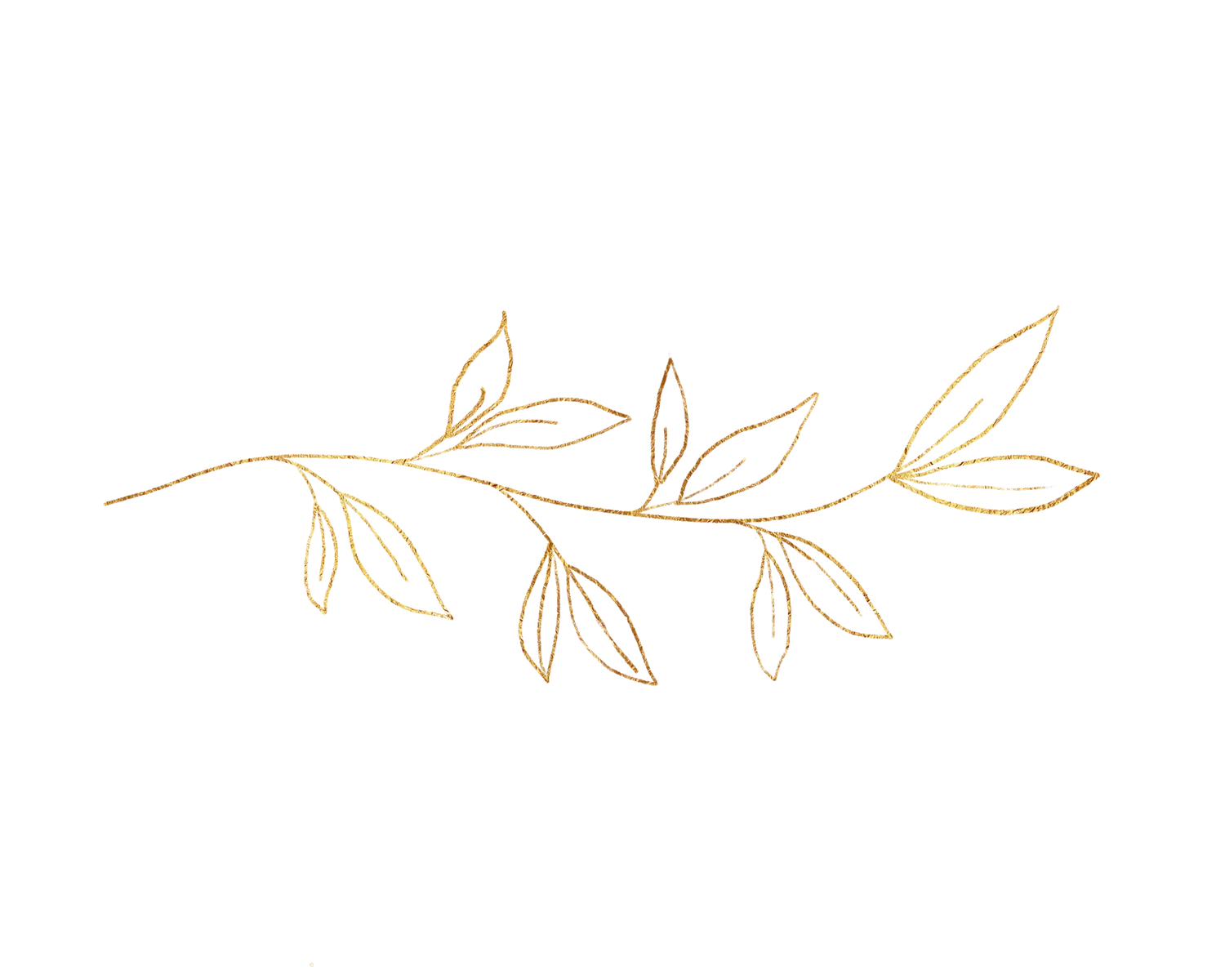 Gold line art illustration of a horizontal branch with small delicate leaves on white background.