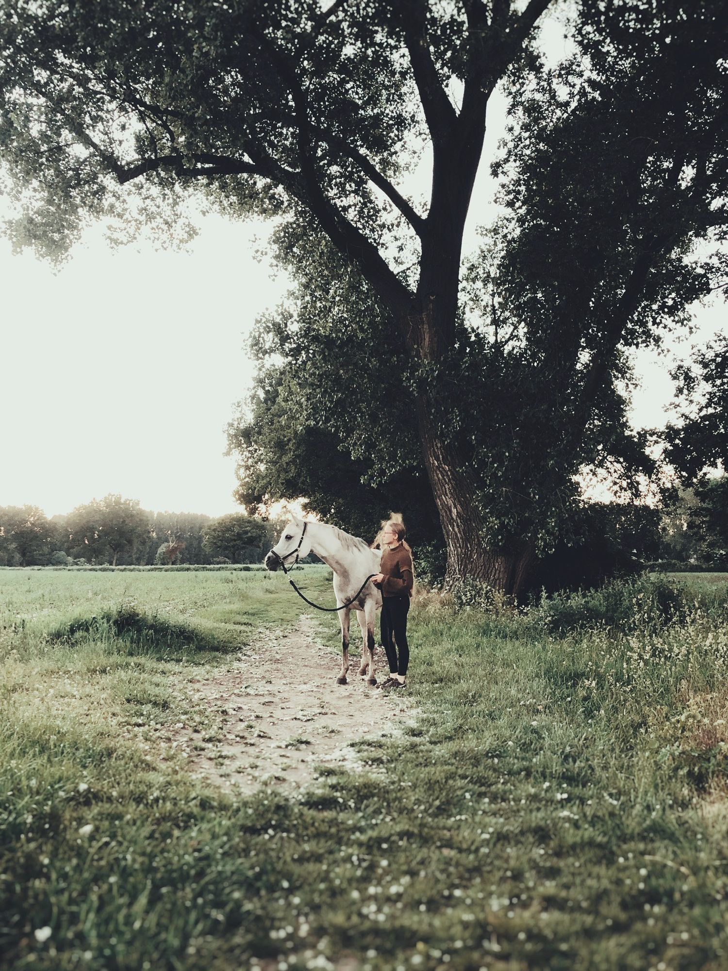 Vera leading May along scenic dirt path beside large tree in field.