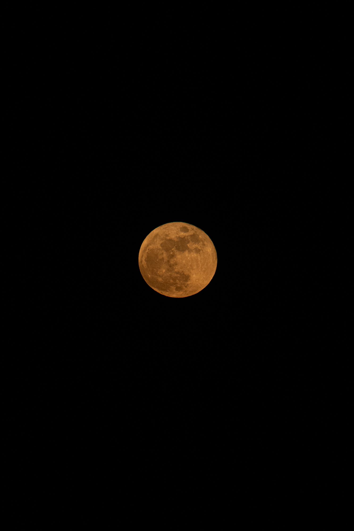 A stunning full orange harvest moon glowing against a pitch black night sky.