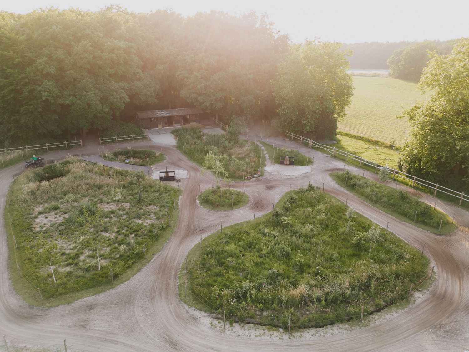 Aerial view of our paddock with winding dirt paths and green plant islands at sunset.