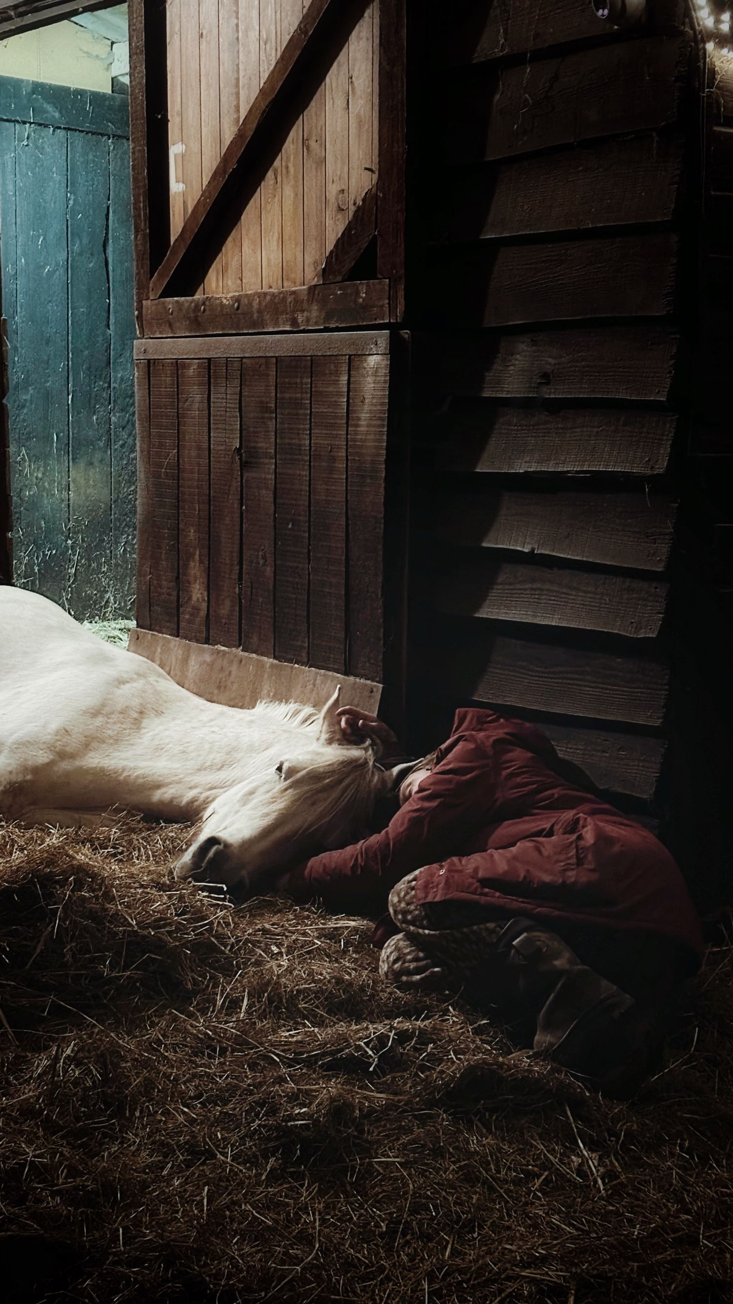 Madra lying on hay near a rustic wooden stable besides Vera.