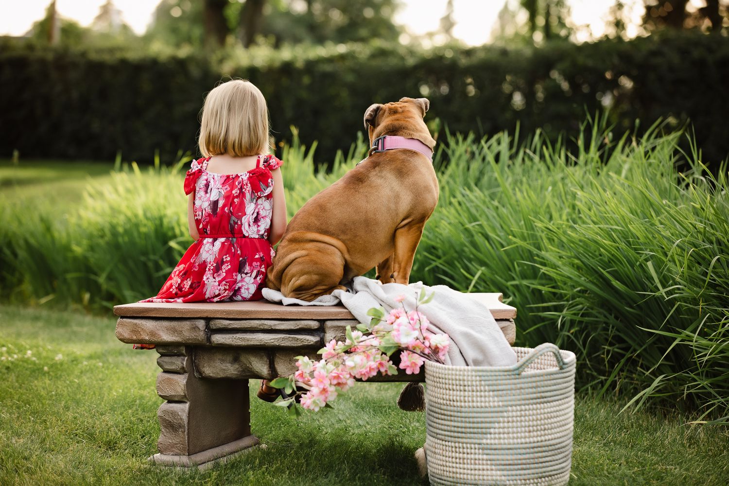 A brown dog and child sit together on a garden bench next to tall grass and a basket of pink flowers.