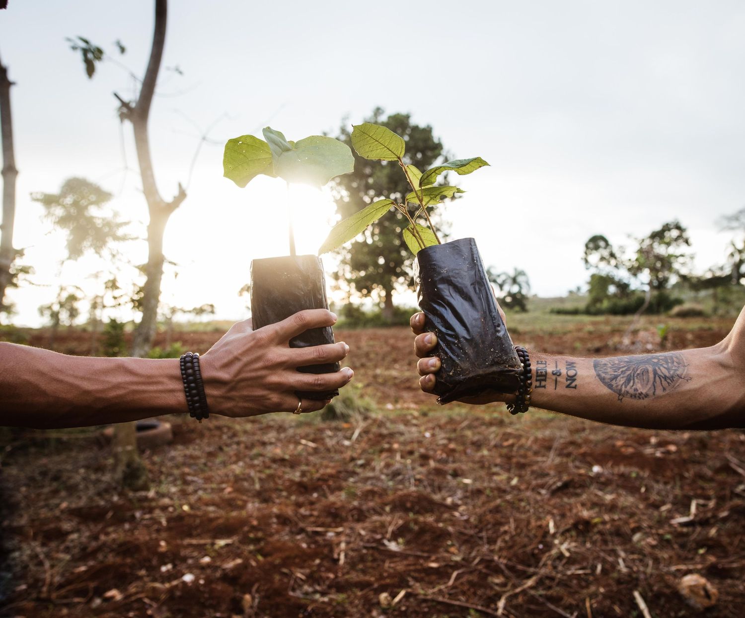 Documentary brand photography by Marsol Studios