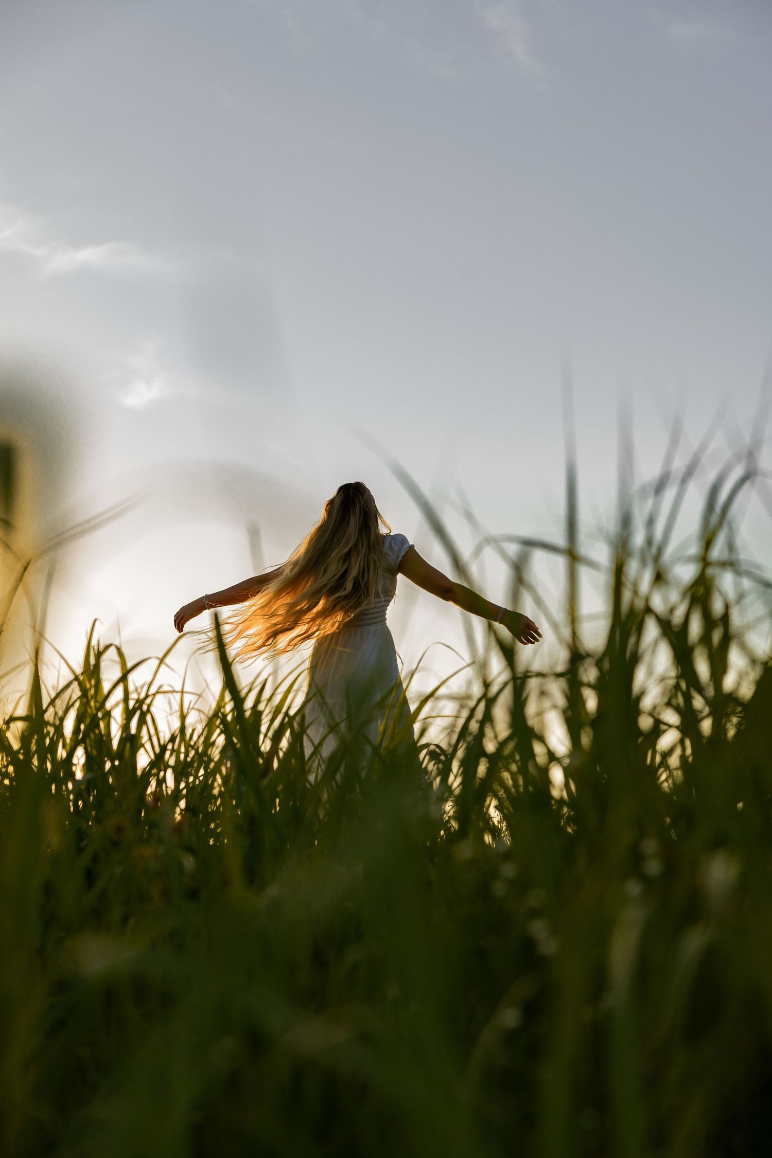Silhouette portrait on a grassy hill during golden hour in Tennessee