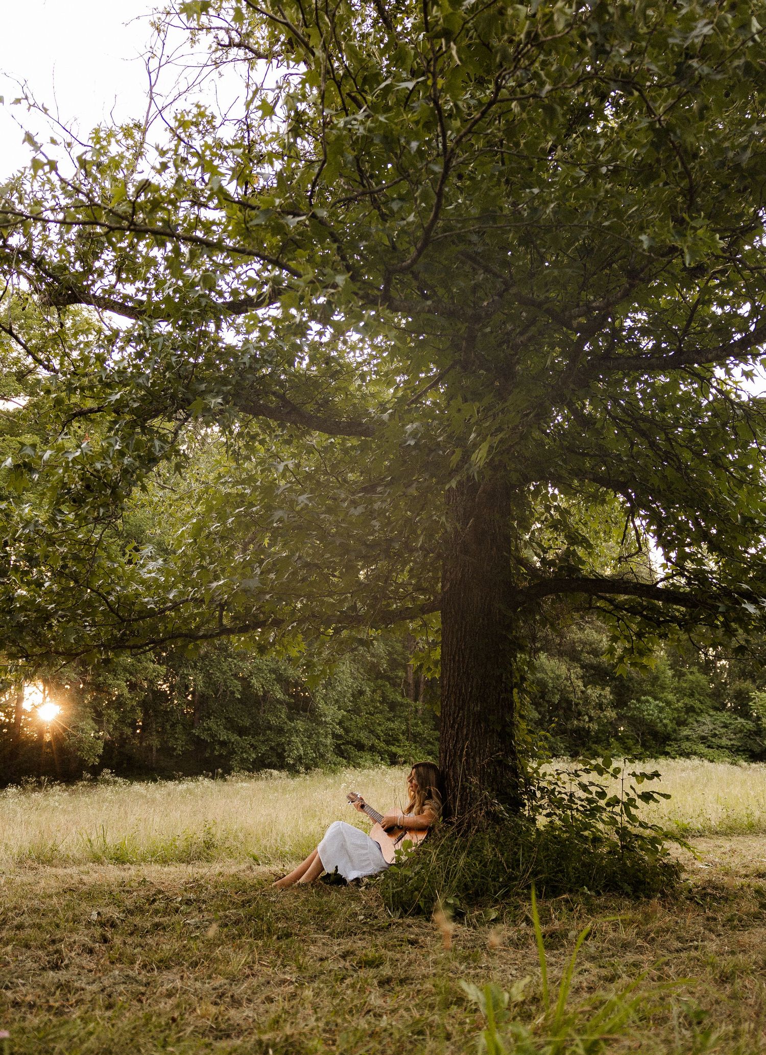 Woman with acoustic guitar in wildflowers at sunset under tree