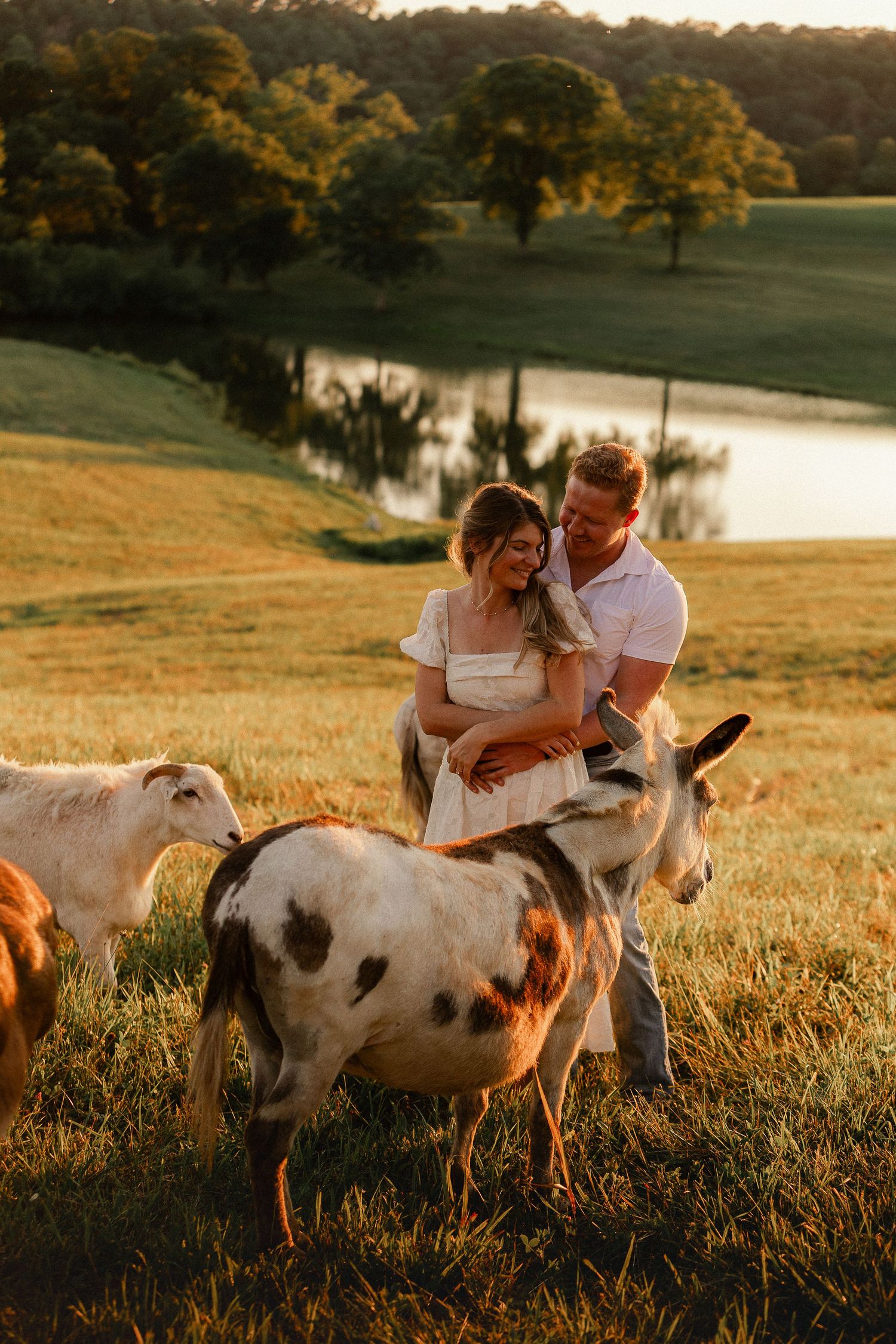 couple at sunset In field with donkeys in Primm Springs Tennessee