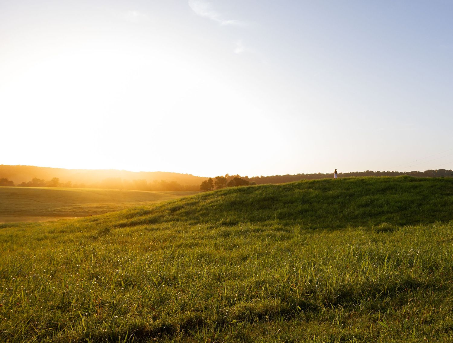 Golden hour portrait in a Tennessee field on hilltop