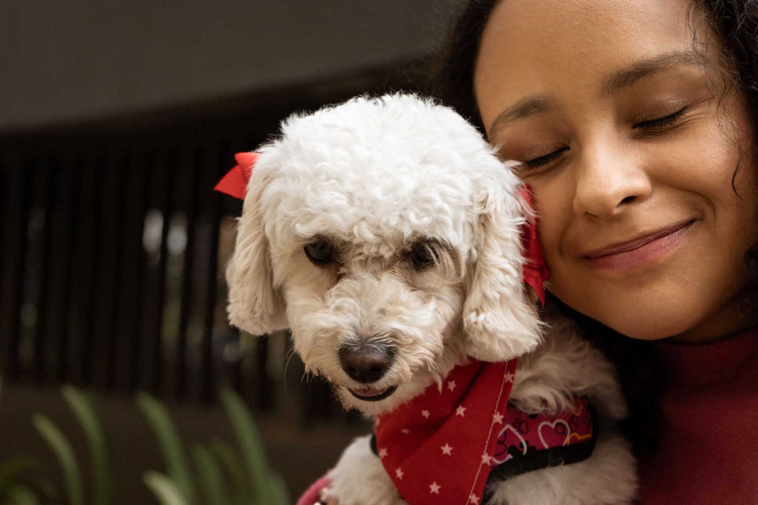 Momento auténtico entre dueña y mascota perro, fotografía de retratos familiares en Guatemala