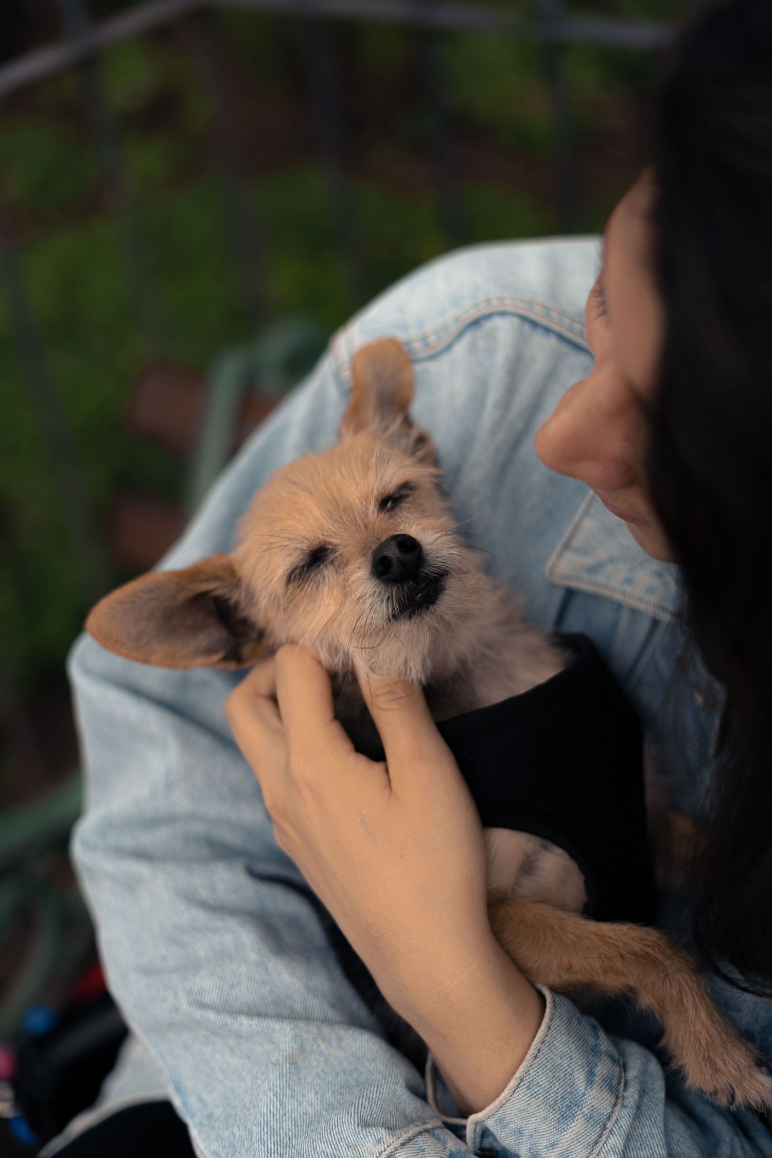 Dueña abrazando a su perro durante sesión familiar de fotografía de mascotas en Antigua Guatemala