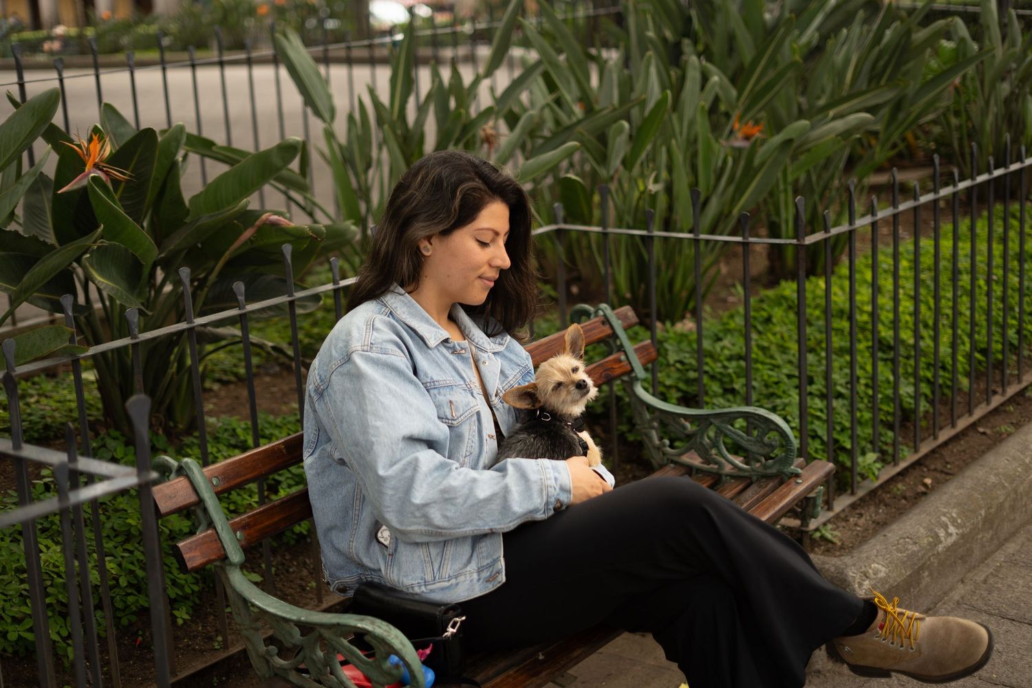 Dueña abrazando a su perro durante sesión familiar de fotografía de mascotas en Antigua Guatemala