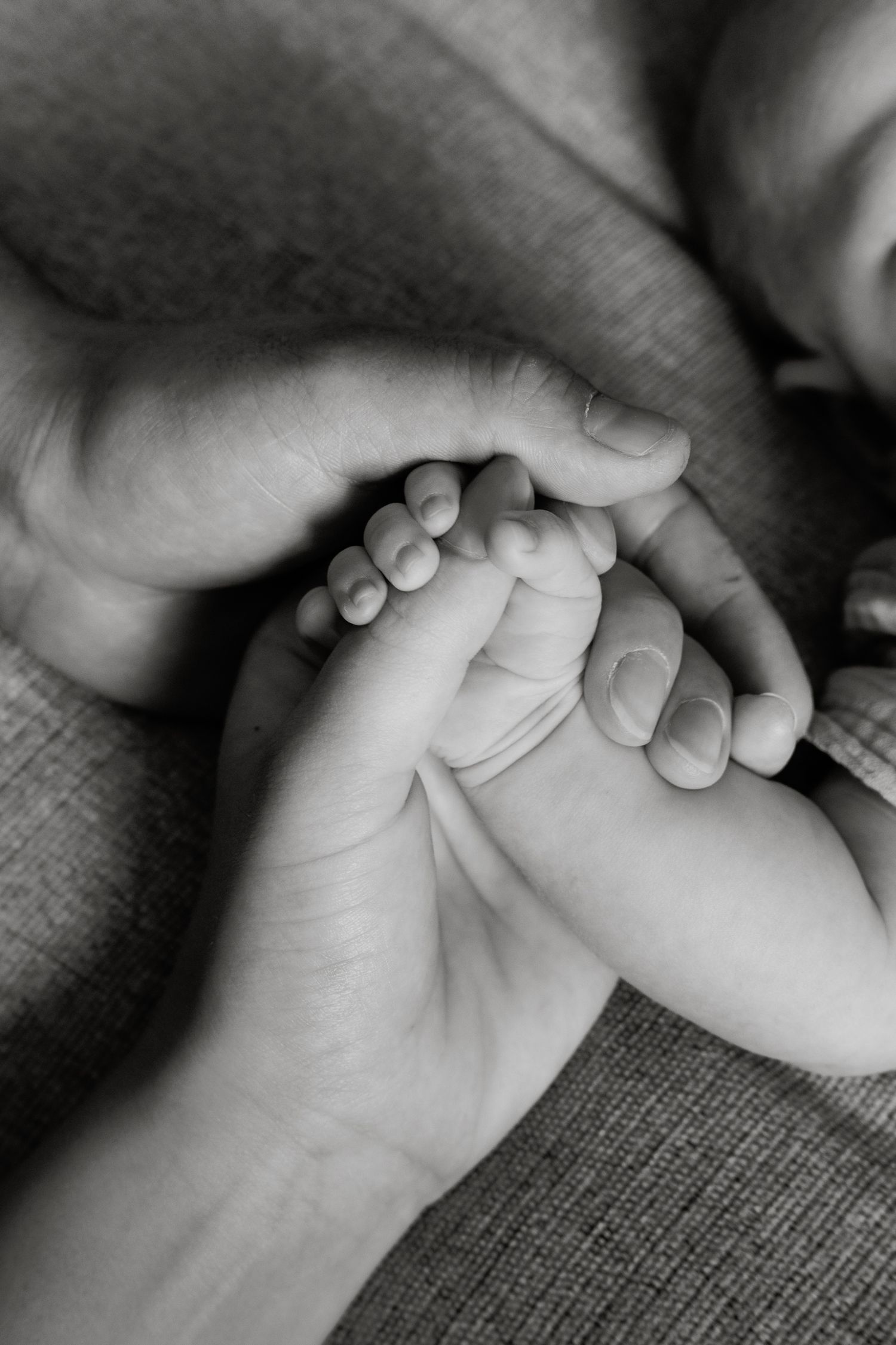 Black and white photo of adult hands gently cradling tiny newborn baby feet, symbolizing love and new parenthood.