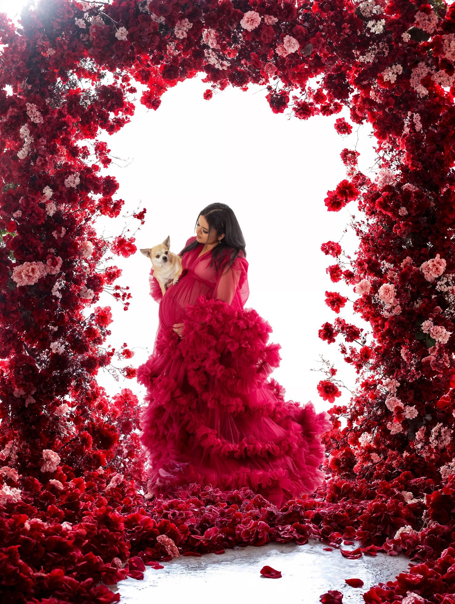 Woman in red ruffled gown holding a corgi dog, framed by lush red floral arch in a stunning maternity photo.