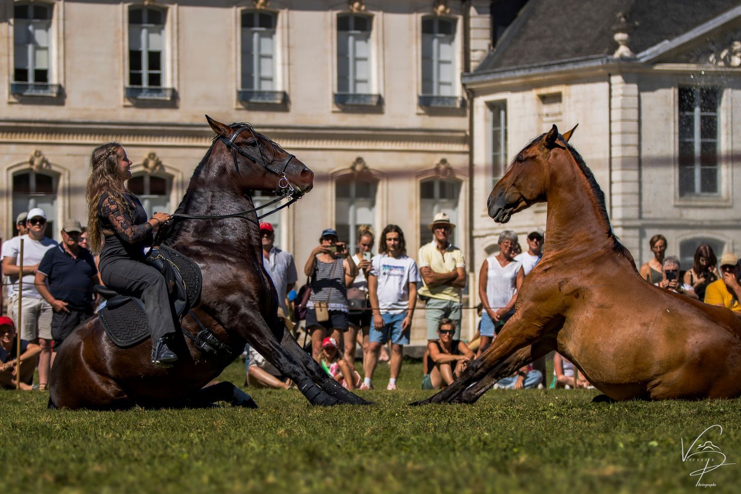 Horses performing synchronized movements in front of a grand historic building.