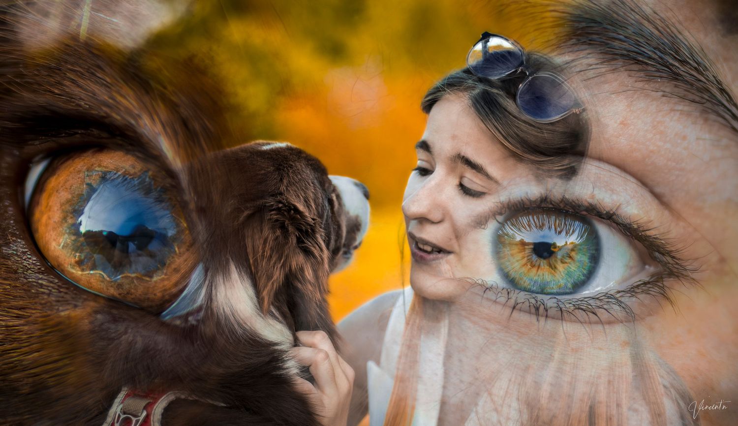 Eye / Eye