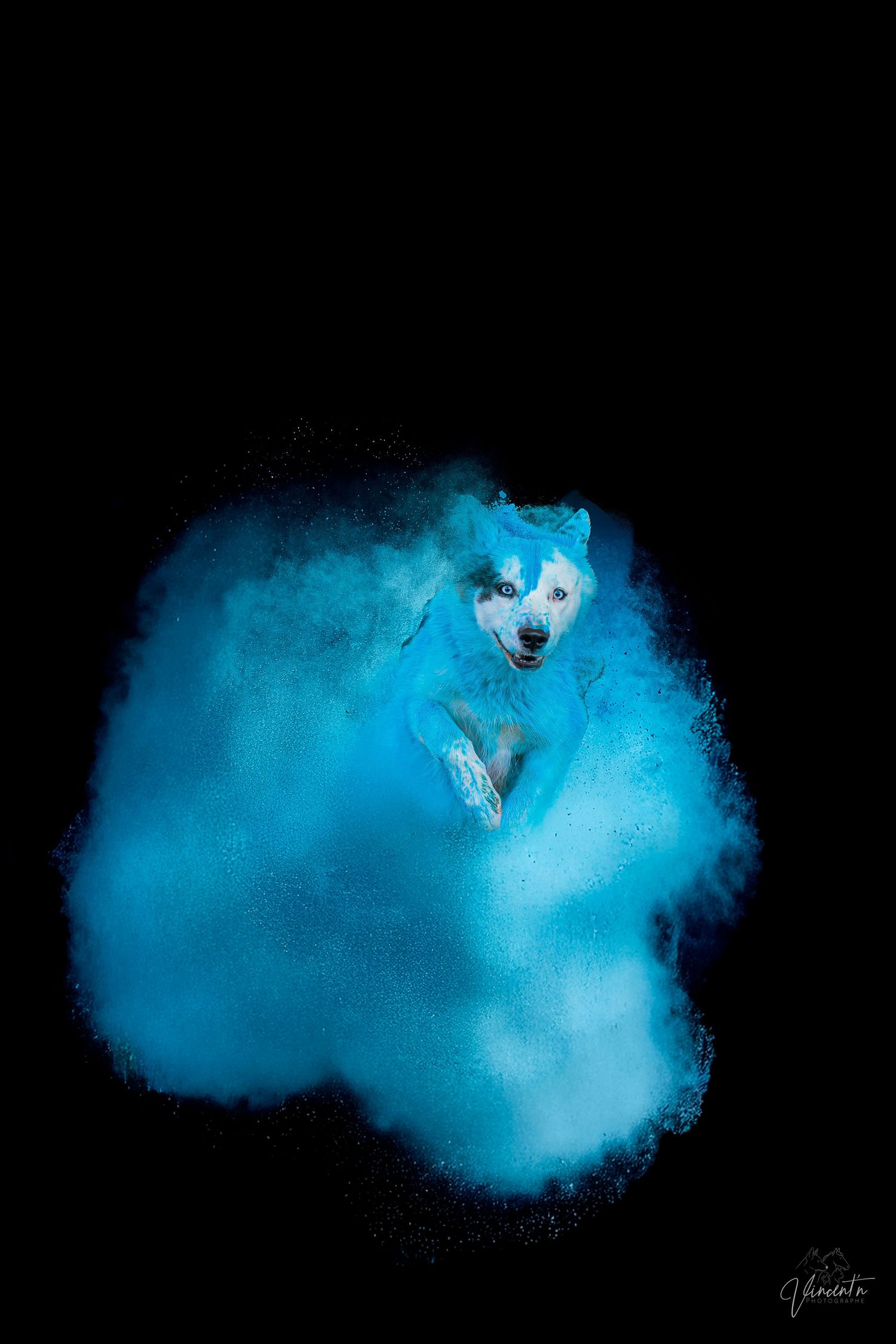 A series of artistic photos showing a wolf emerging from ethereal blue smoke against a black background.