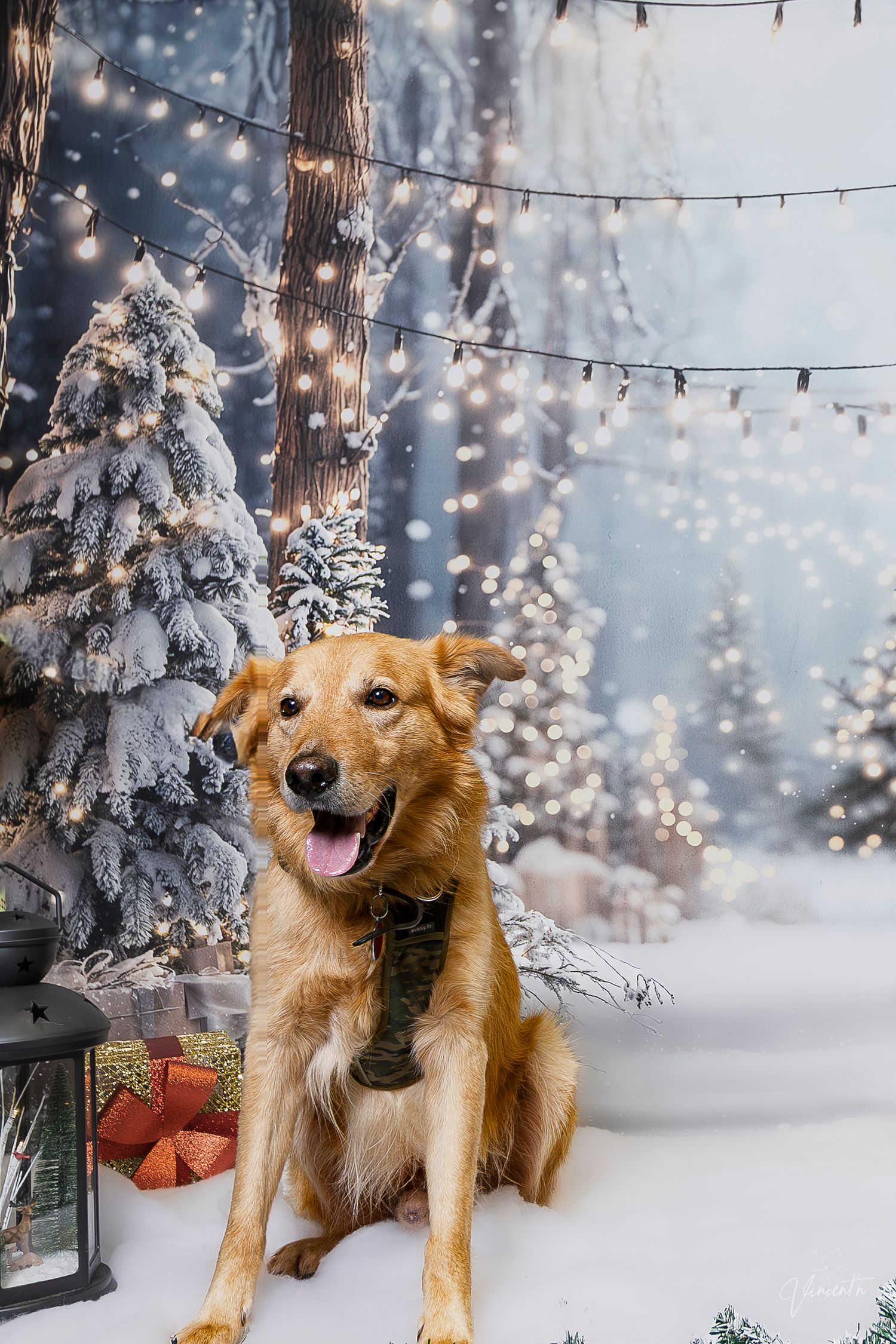 Happy golden dog sitting in snowy winter scene with twinkling lights and decorated trees.