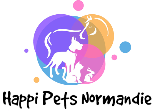 Happi pets normandie, créateur de collier, accessoire pour vos animaux en biothane