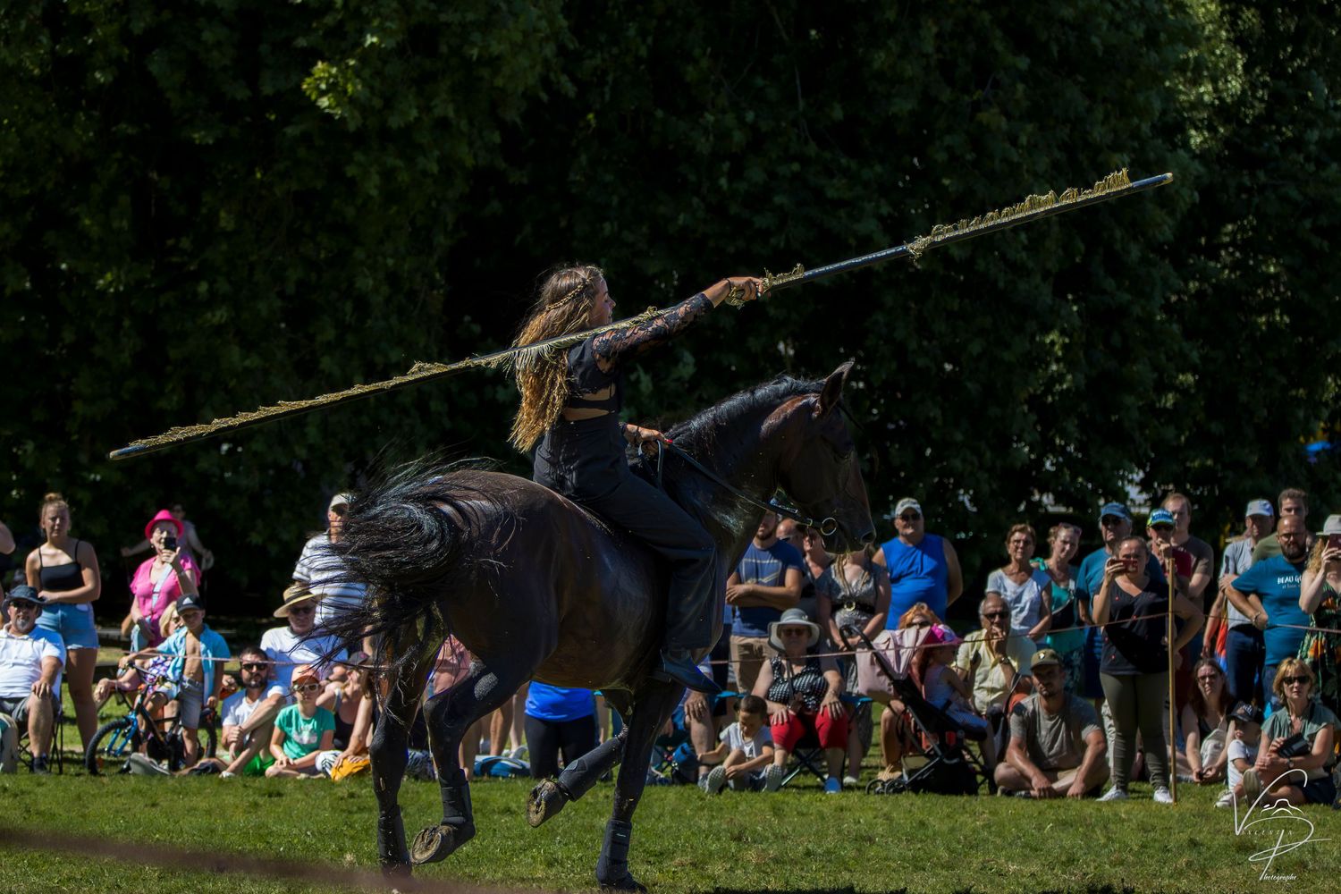 Equestrian performance with horses and riders against a wooded backdrop.