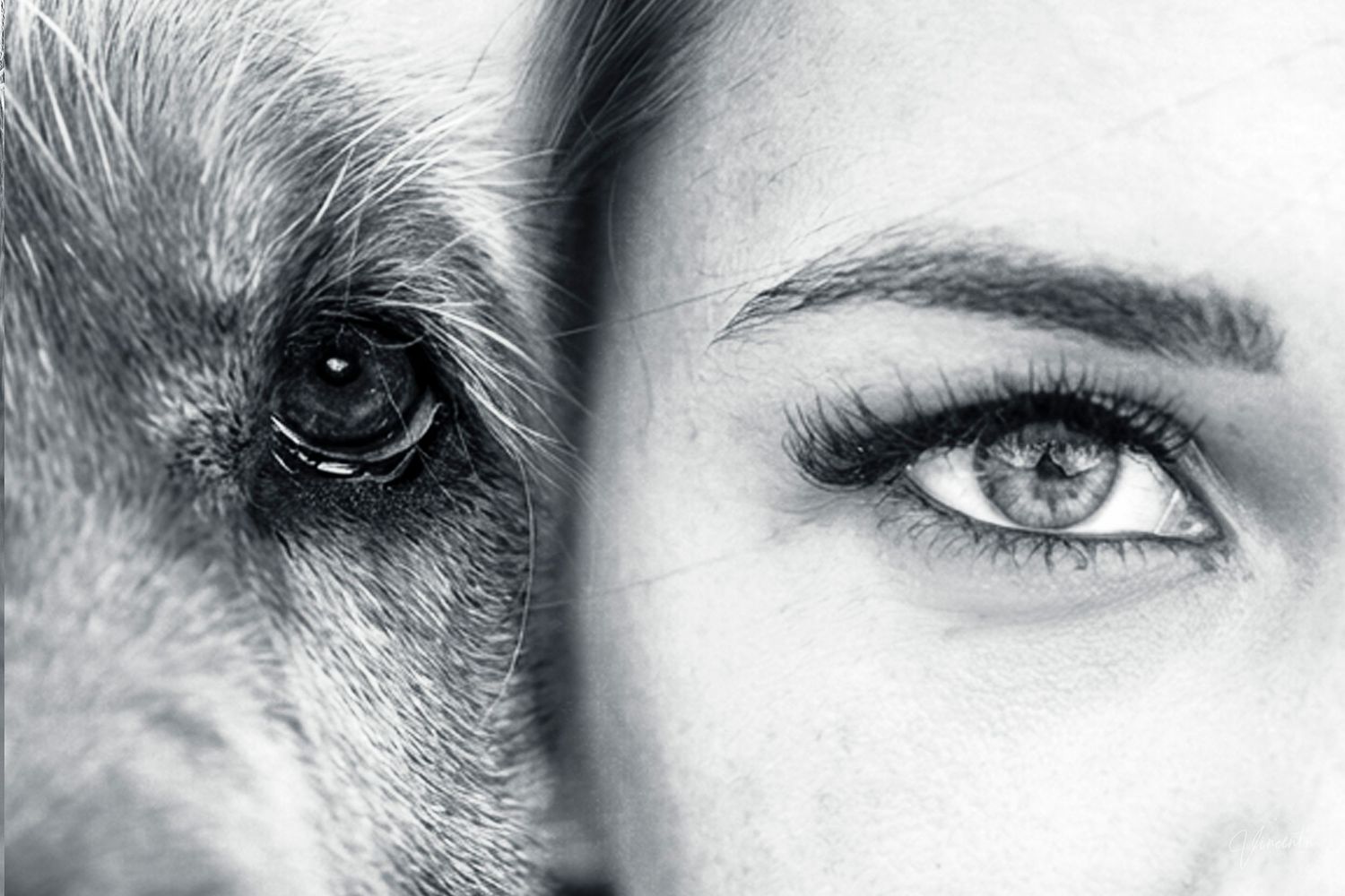 Black and white extreme close-up of eyes with detailed eyelashes and brows.
