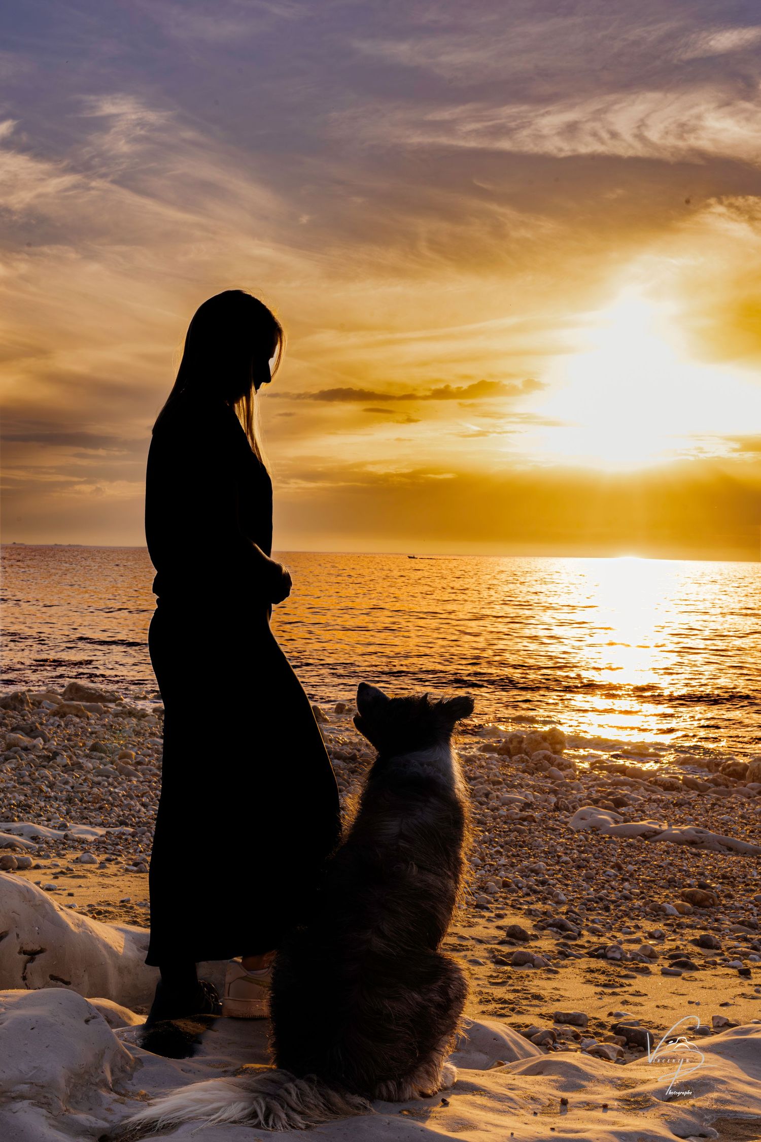 Silhouettes of person and dog against dramatic orange sunset over snowy beach.