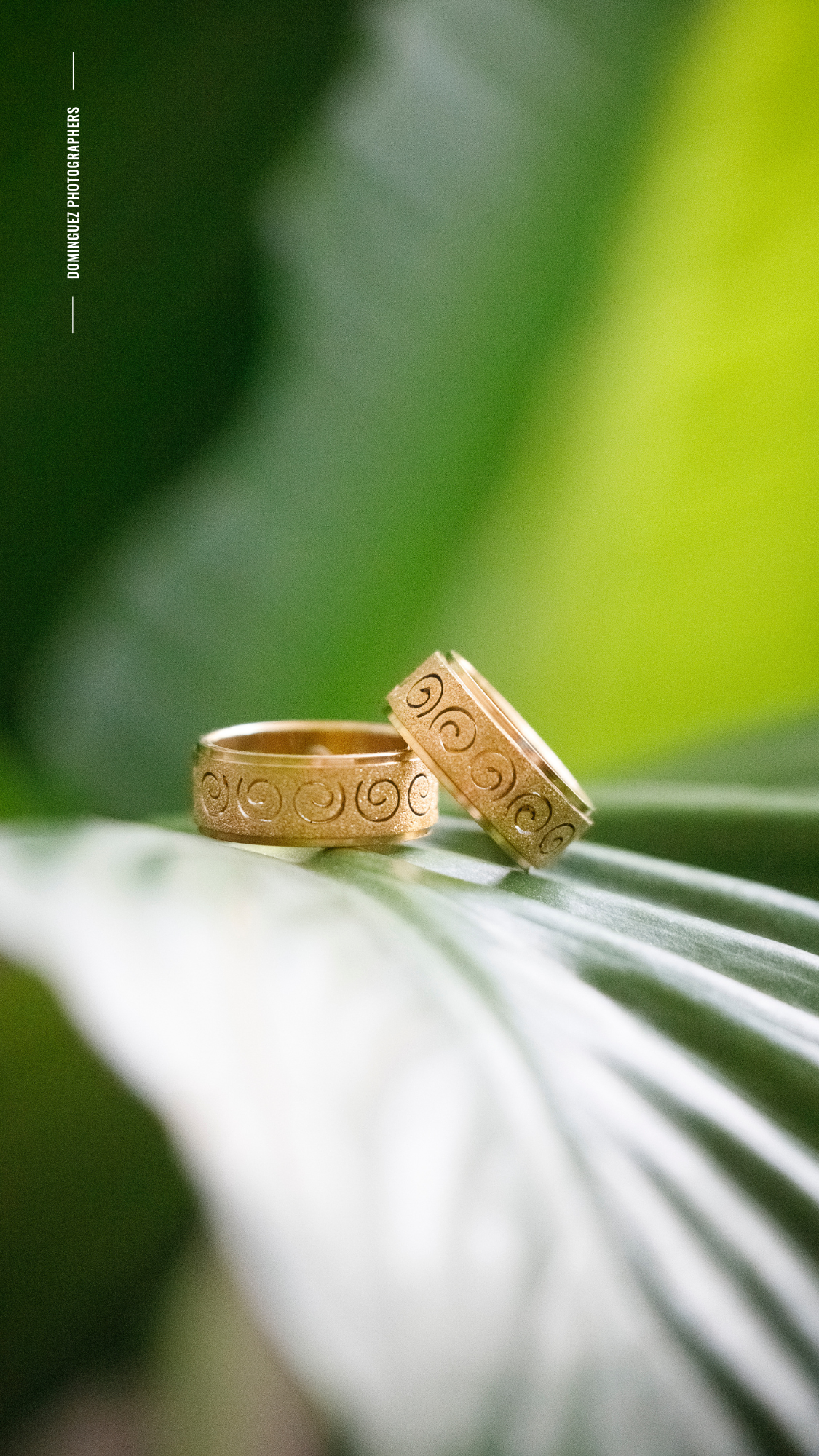 Two gold wedding rings with decorative swirl patterns rest on a white flower petal against a blurred green background.
