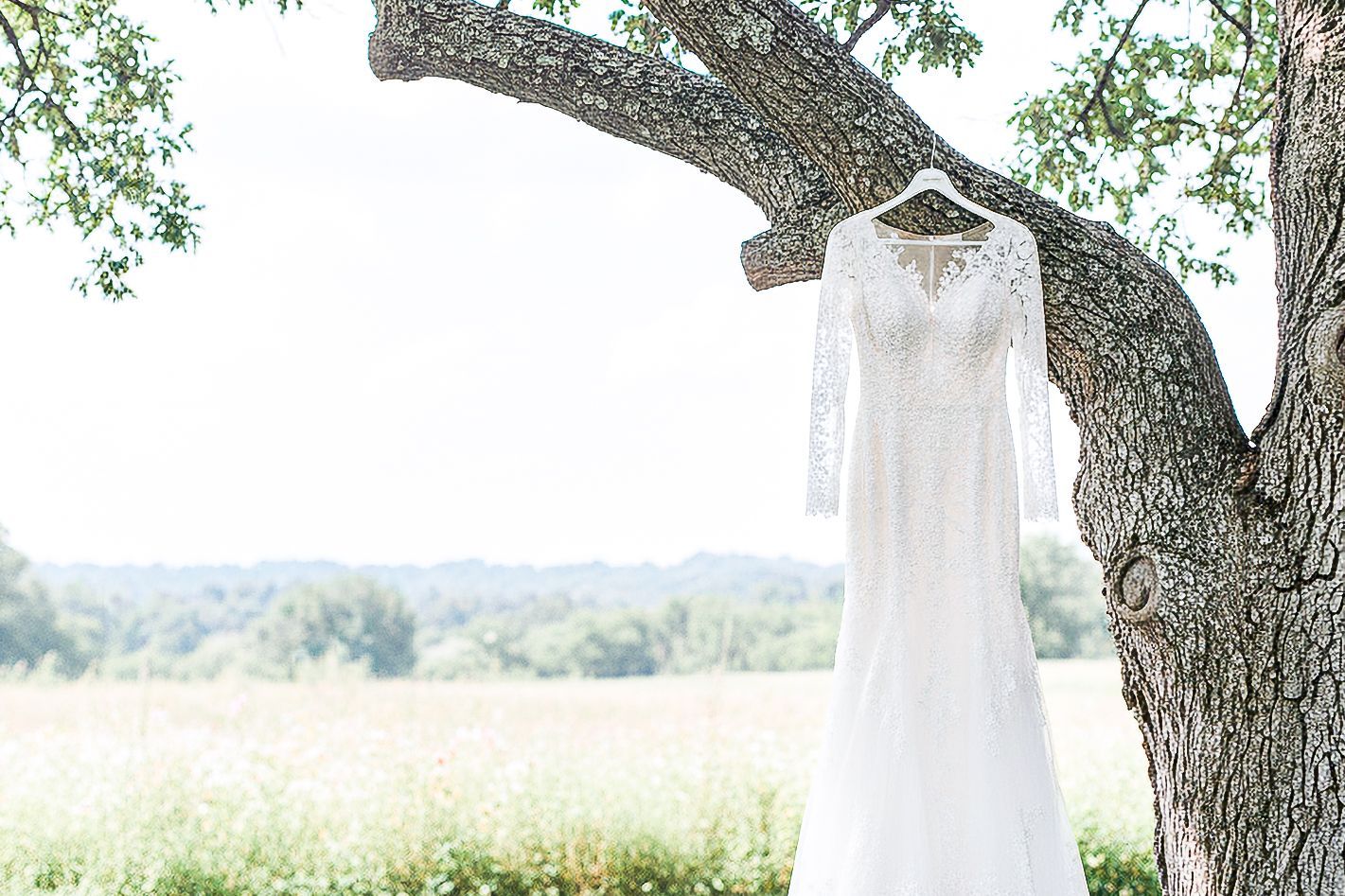 White wedding dresses hang from tree branches in a sunny outdoor setting creating an ethereal display.