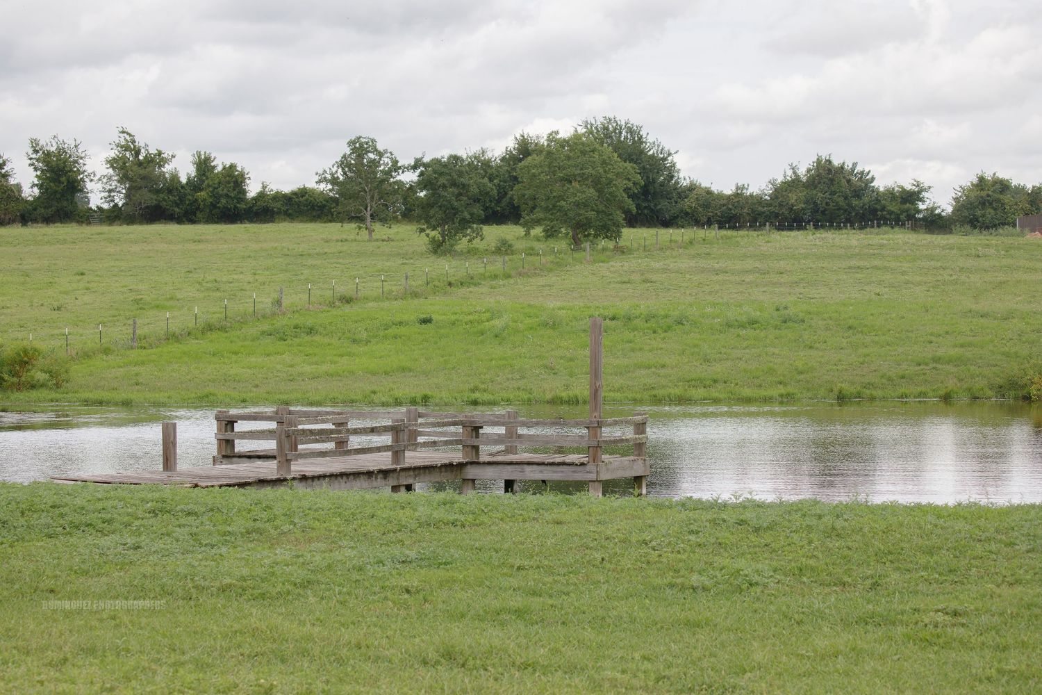 A series of green pastures and fields with scattered trees and ponds visible under an overcast sky.