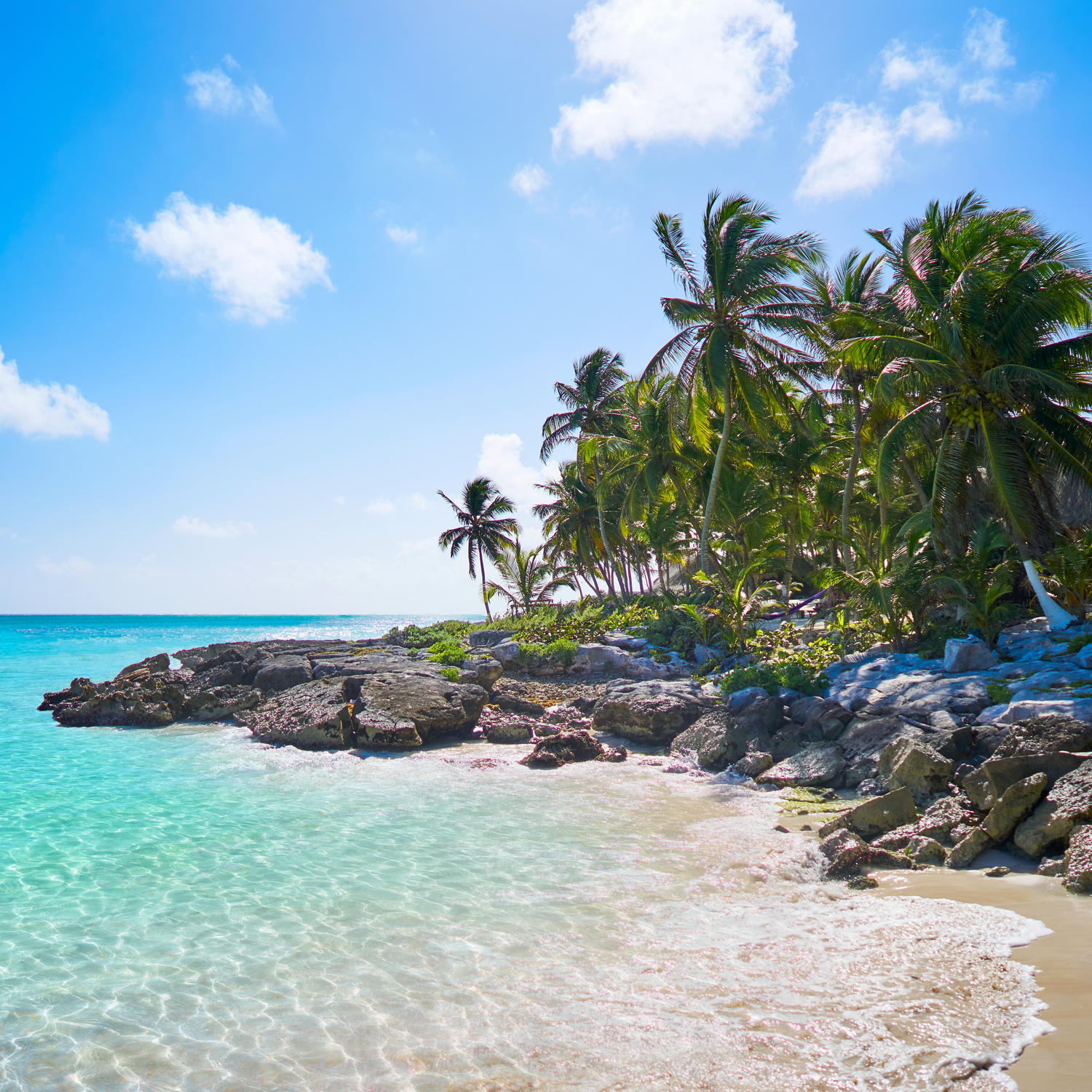 Turquoise waters and swaying palm trees line a rocky tropical beach cove with white sand and volcanic stones.