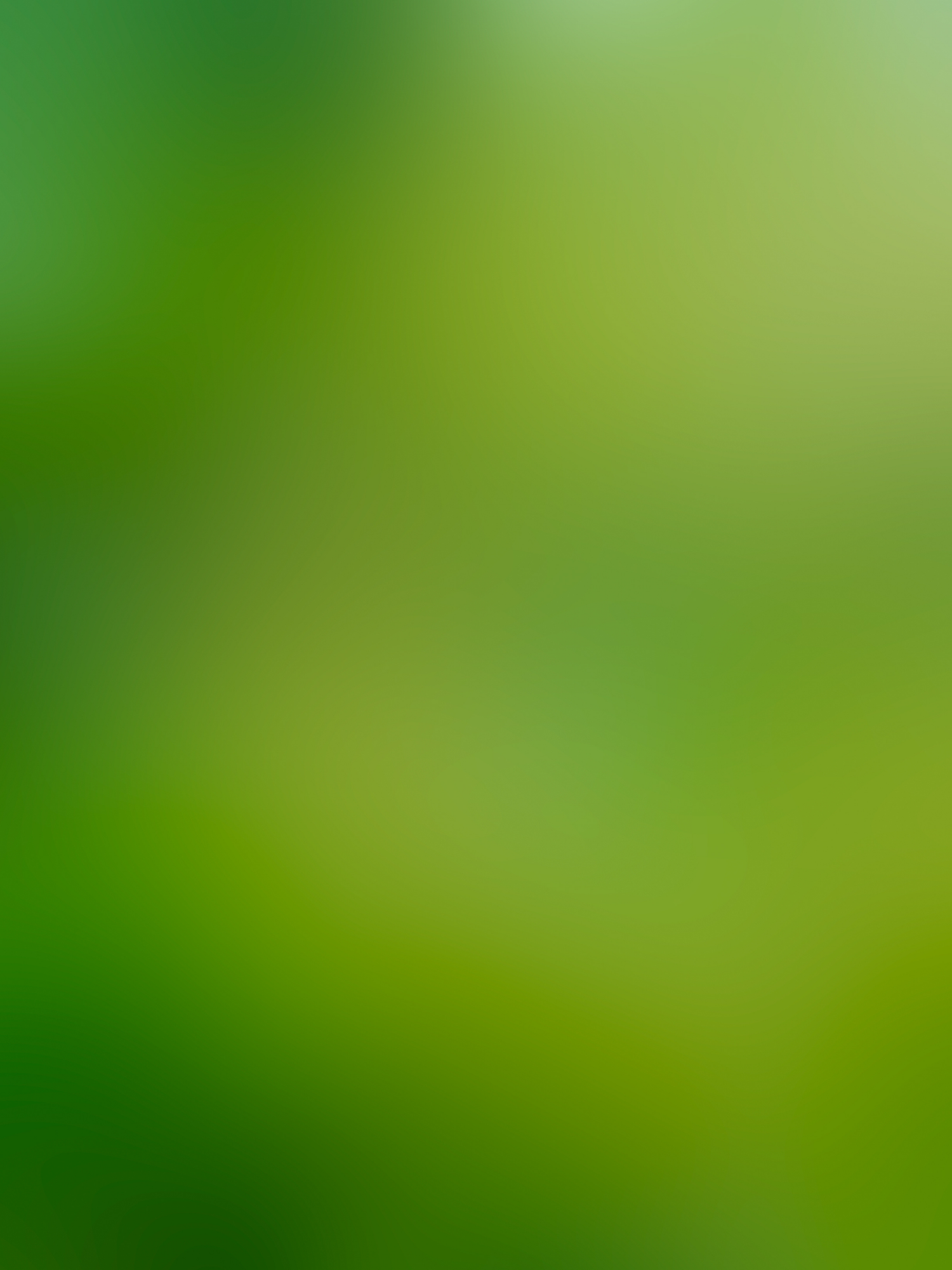 A blurred green background with soft bokeh effect creates an abstract natural texture.