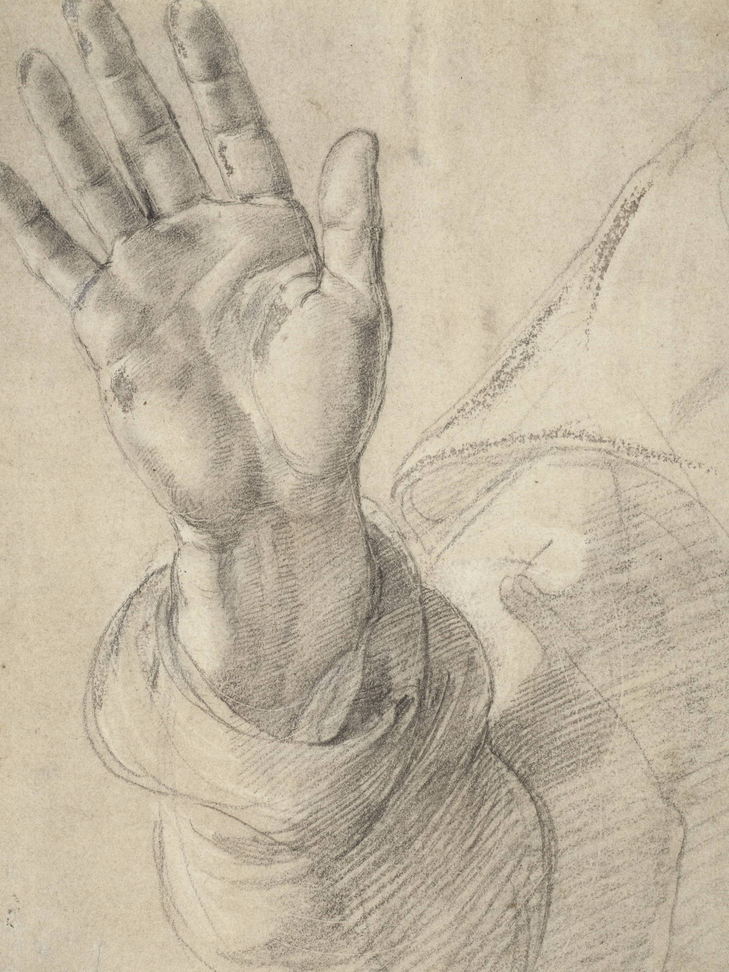 Vintage pencil sketch study of a hand in different positions showing detailed shading and anatomical form.