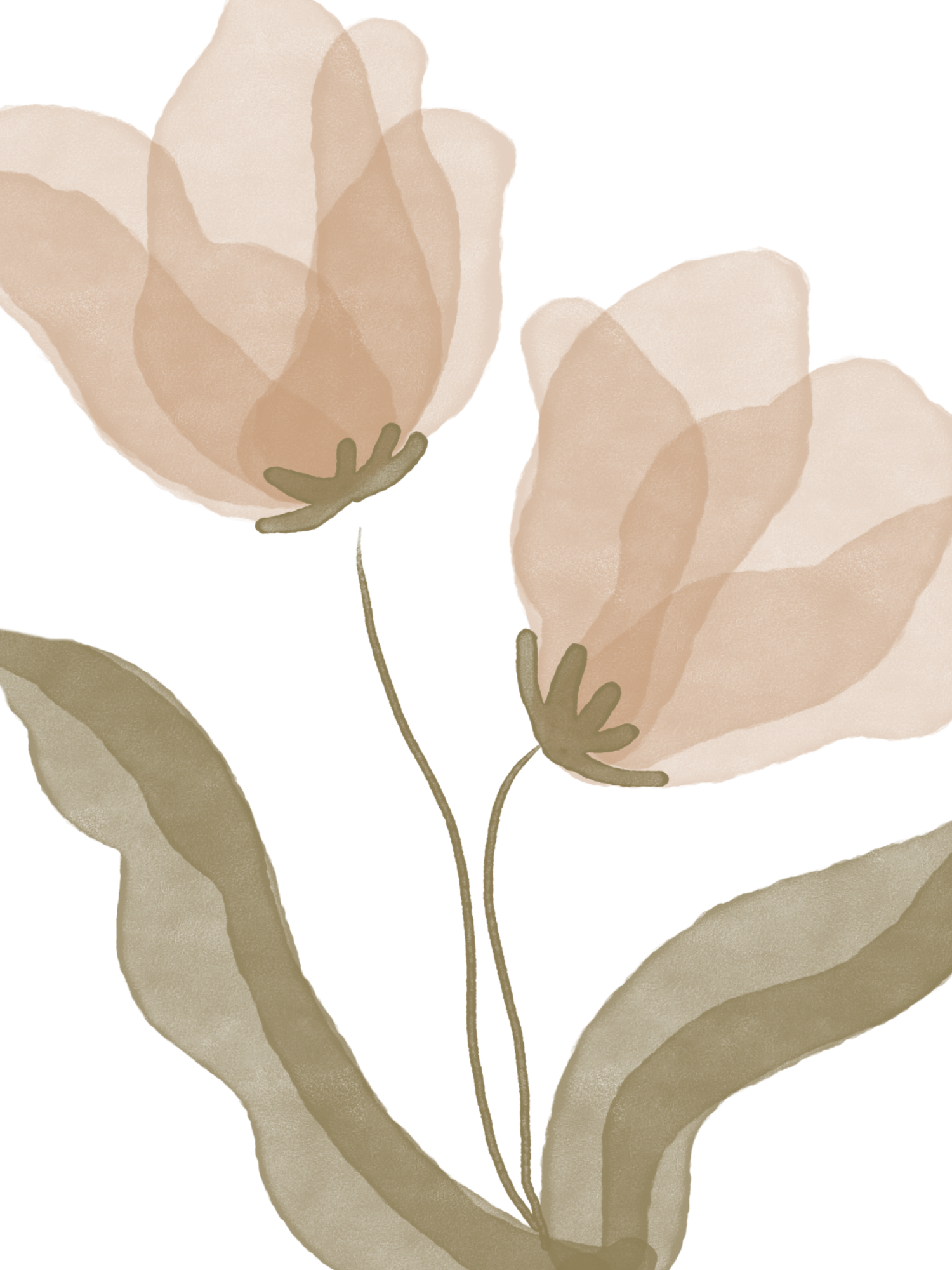 Minimalist watercolor illustration of delicate white tulips with sage green stems on a light background.