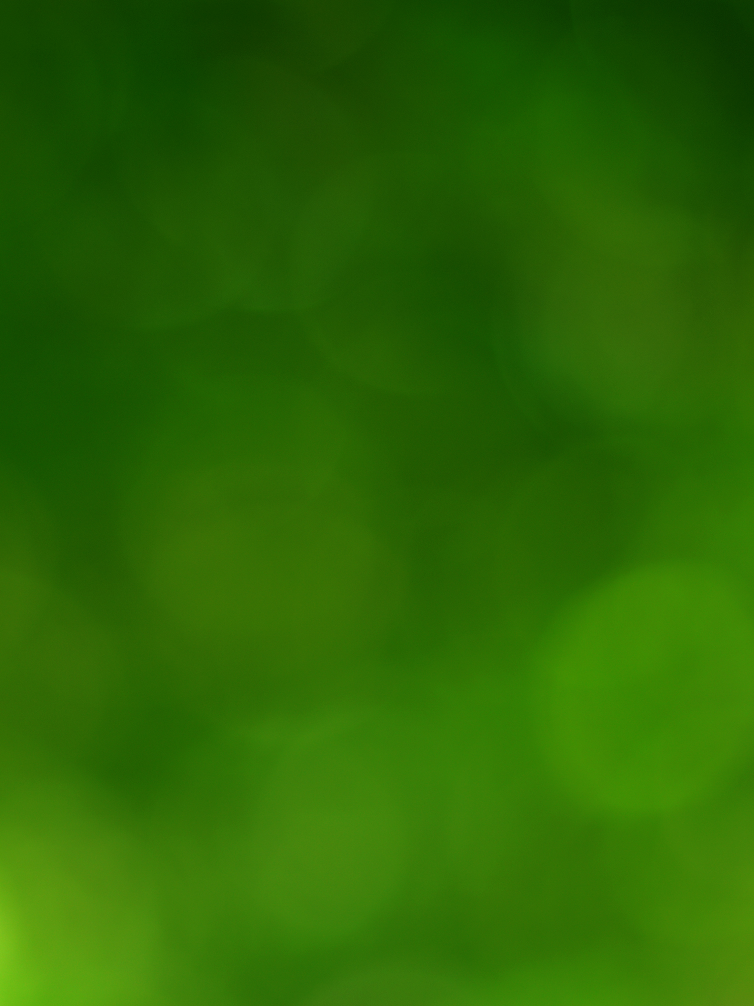 Abstract green background with soft bokeh effect and blurred organic shapes creating a natural ethereal atmosphere.