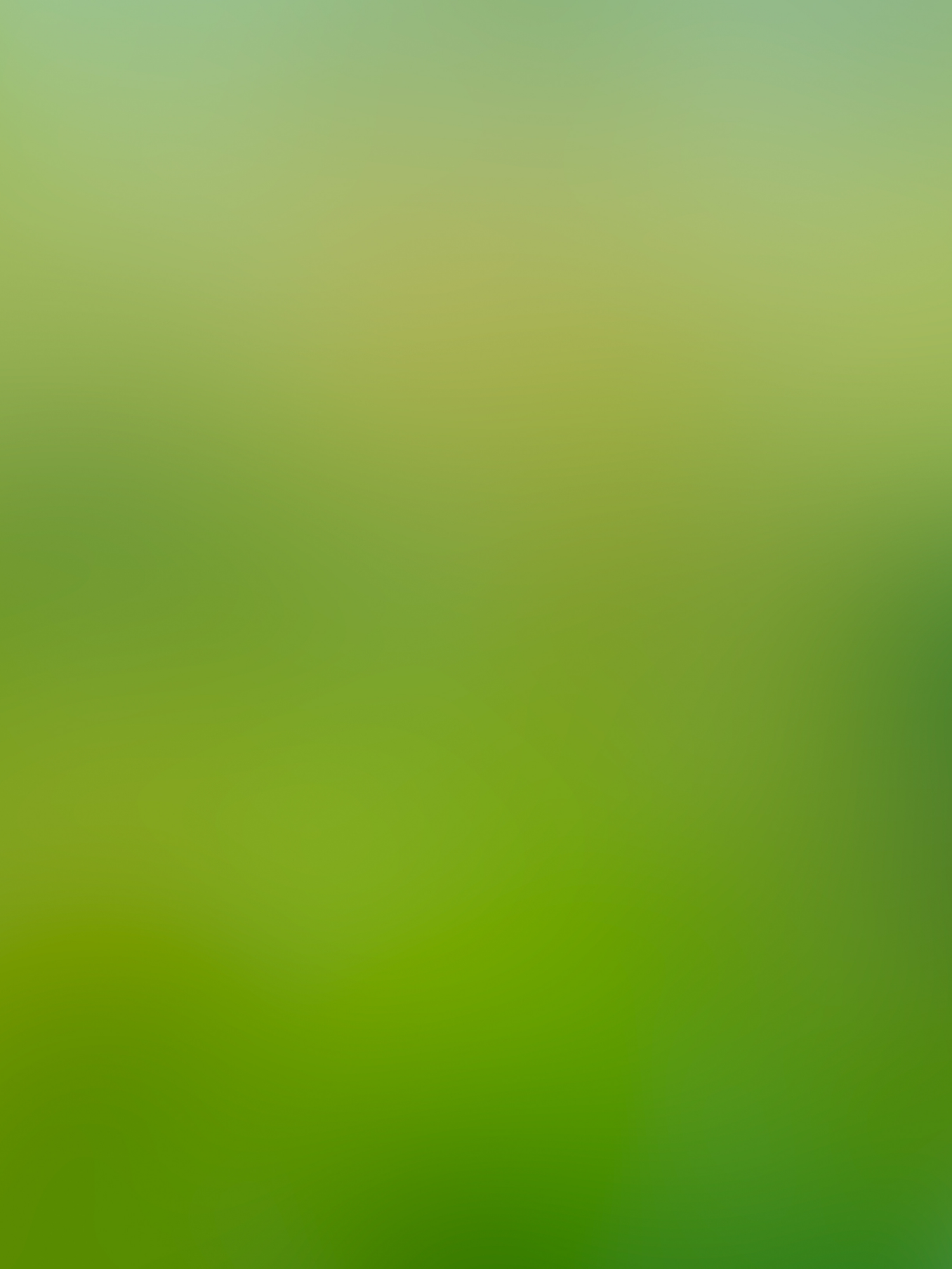 Blurred green bokeh background with soft focus natural foliage creates an abstract nature effect.
