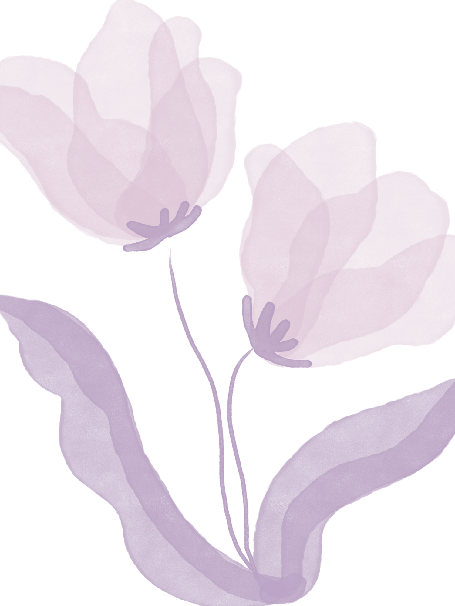 Delicate watercolor tulips in soft pink and purple hues create an elegant floral pattern on white background.